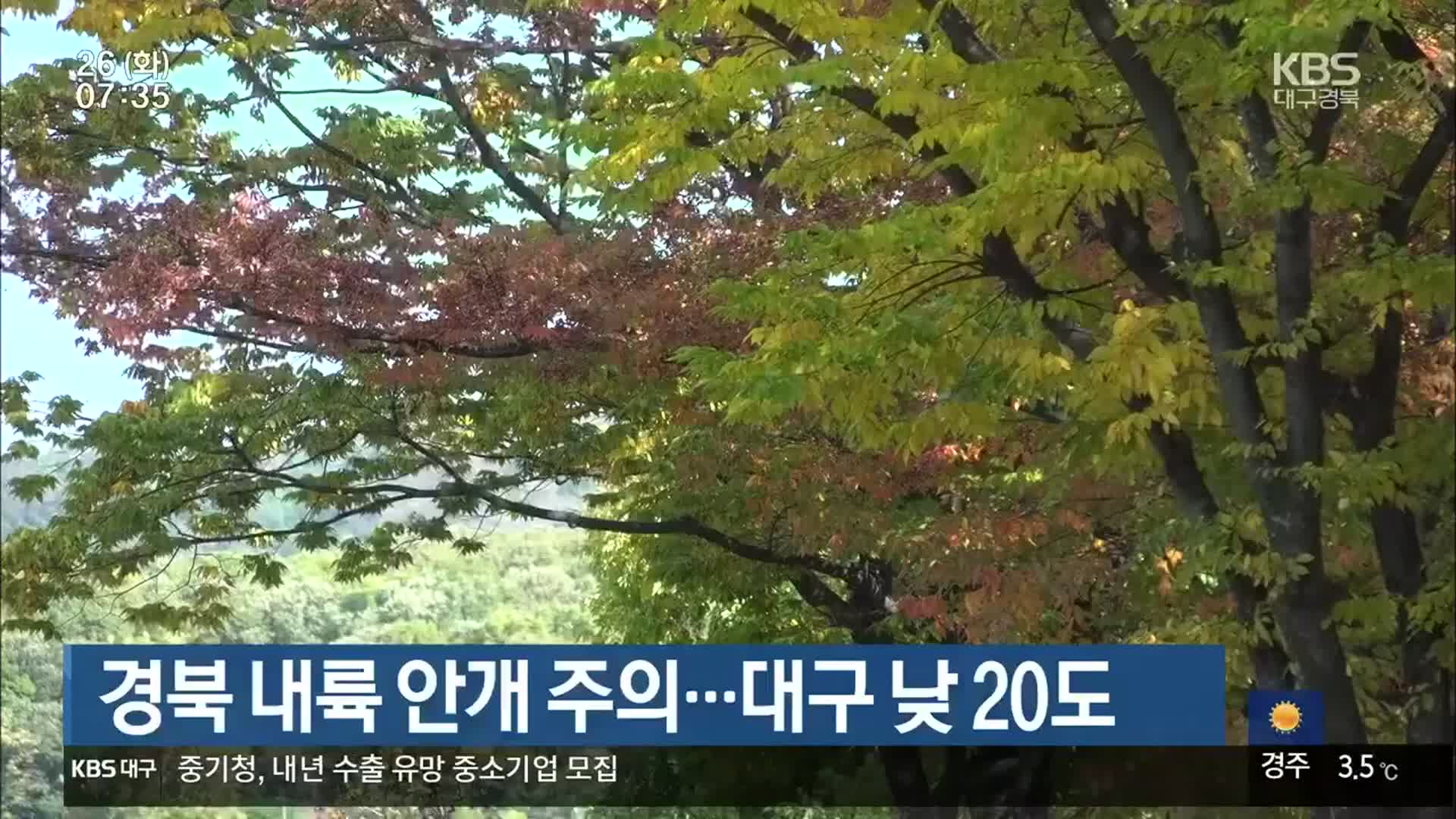 경북 내륙 안개 주의…대구 낮 20도