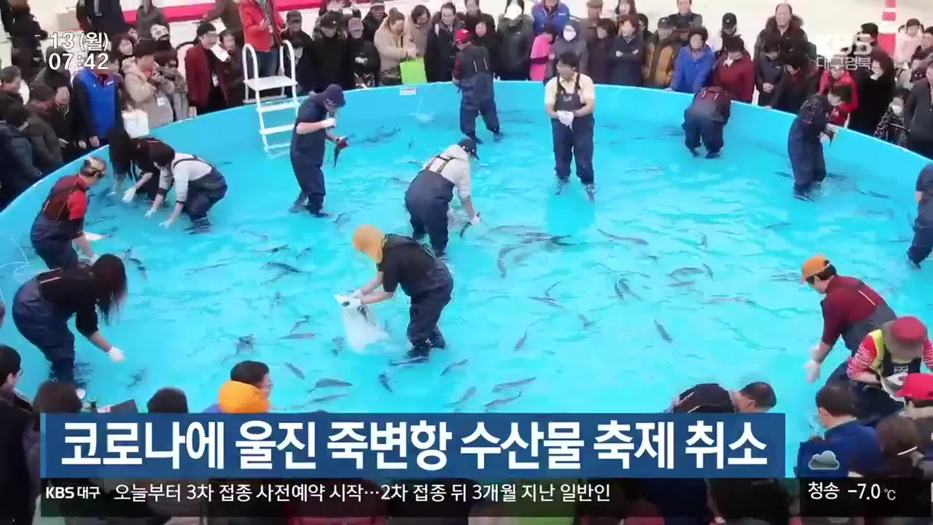 코로나19에 울진 죽변항 수산물 축제 취소