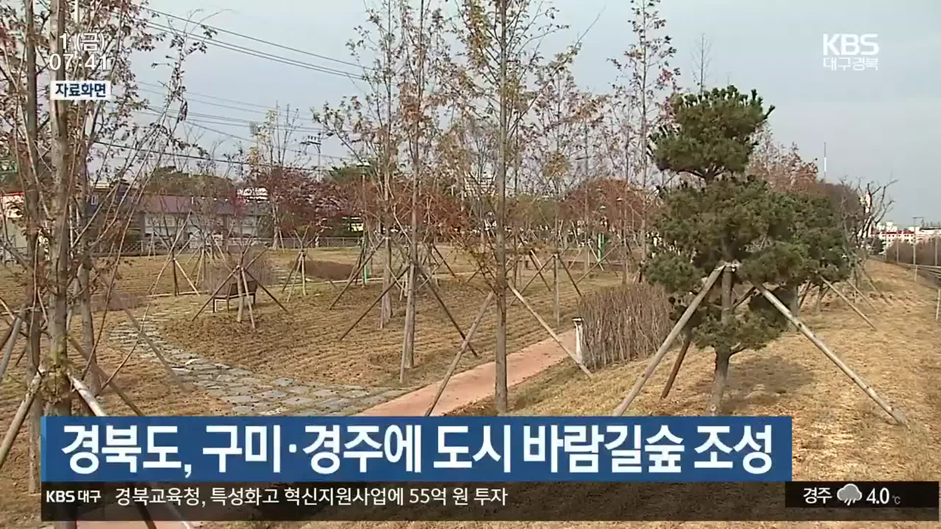 경북도, 구미·경주에 도시 바람길숲 조성