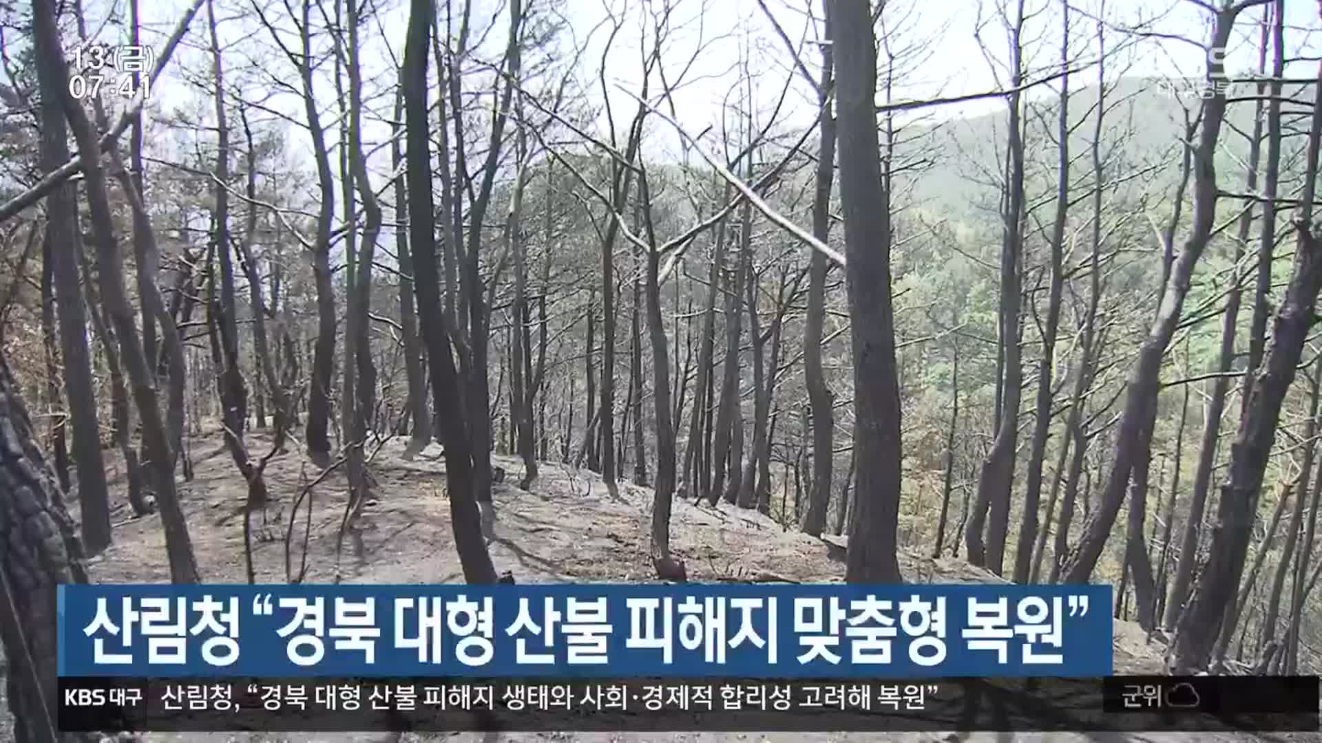 산림청 “경북 대형 산불 피해지 맞춤형 복원”