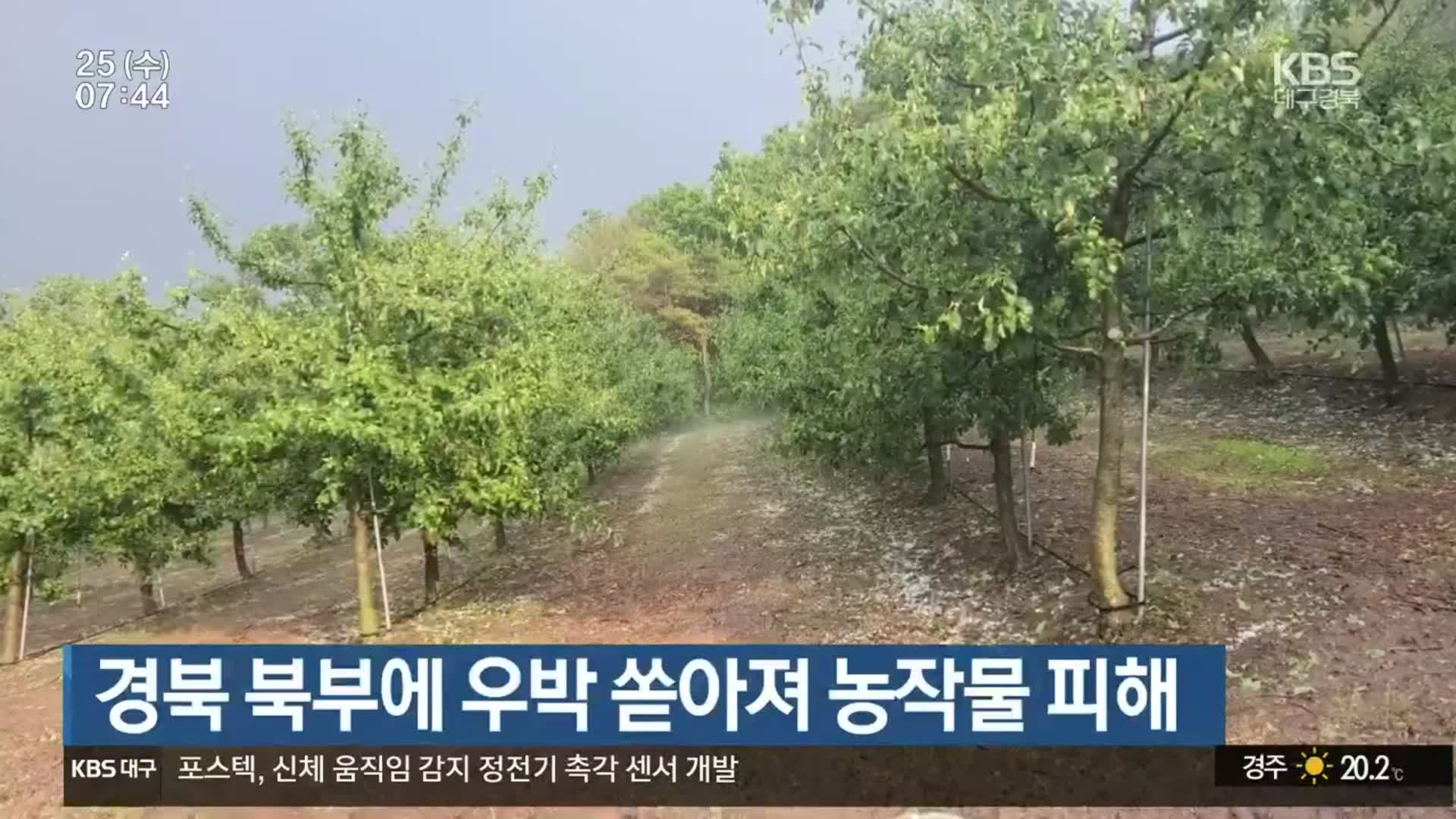 경북 북부에 우박 쏟아져 농작물 피해