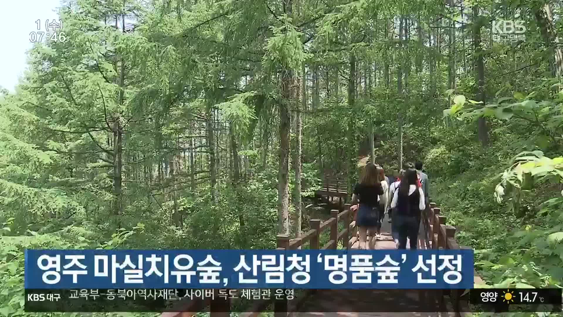 영주 마실치유숲, 산림청 ‘명품숲’ 선정