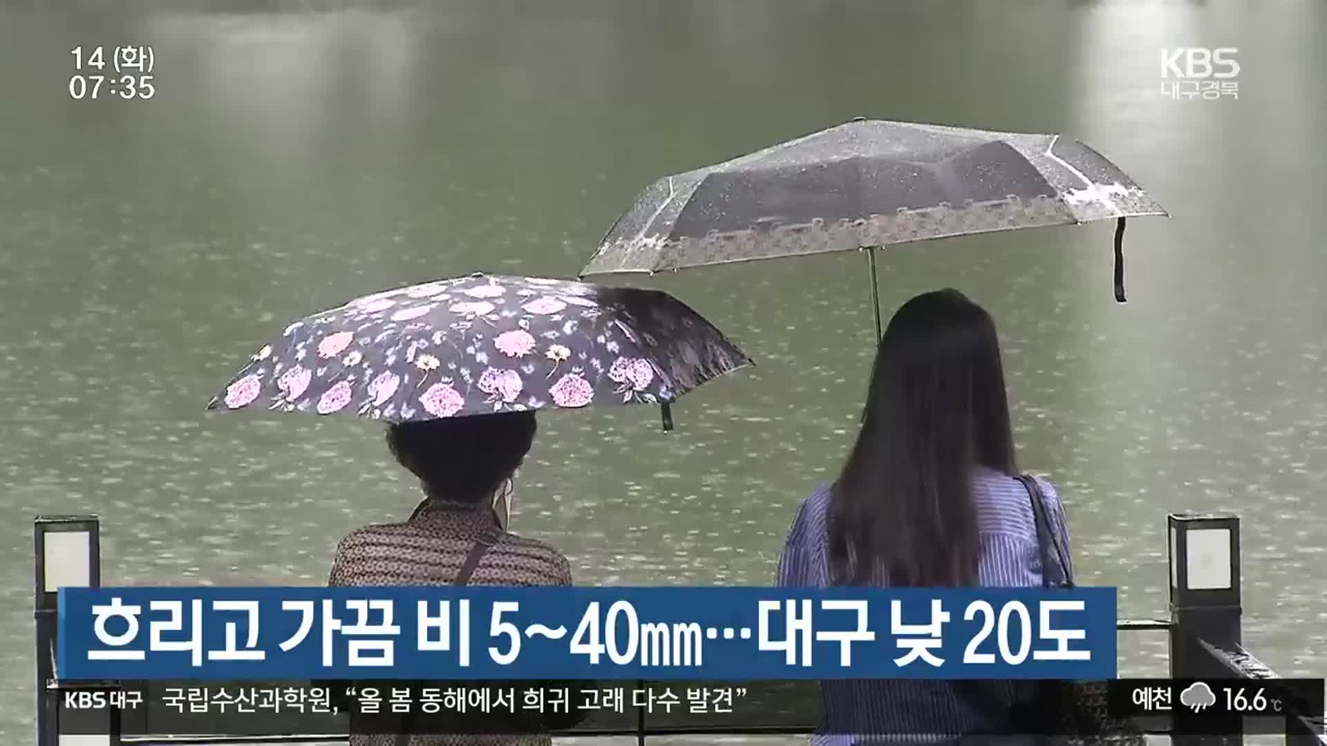 대구·경북 흐리고 가끔 비 5~40mm…대구 낮 20도