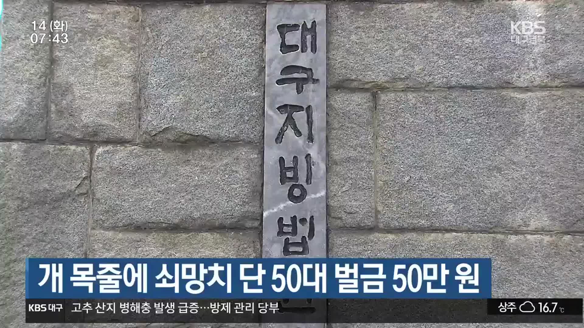 개 목줄에 쇠망치 단 50대 벌금 50만 원