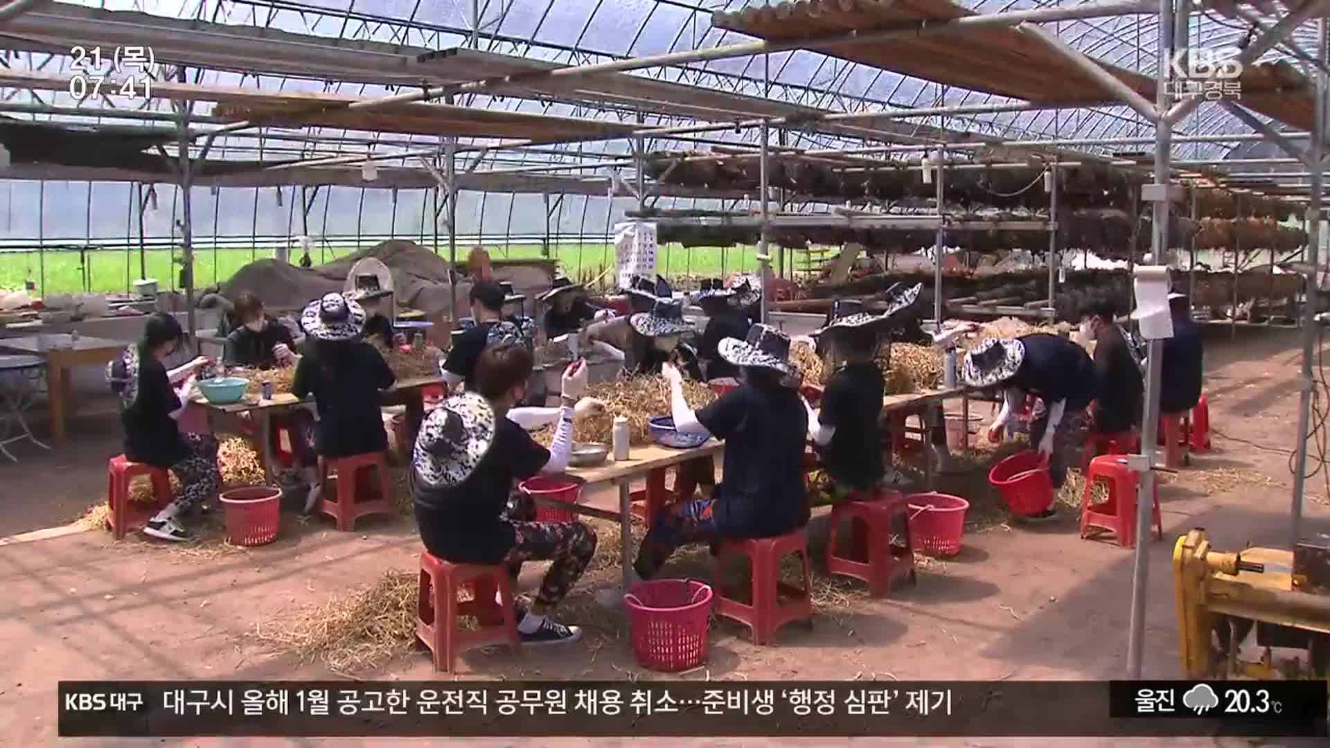 ‘가뭄에 단비’ 대학생 농활 재개