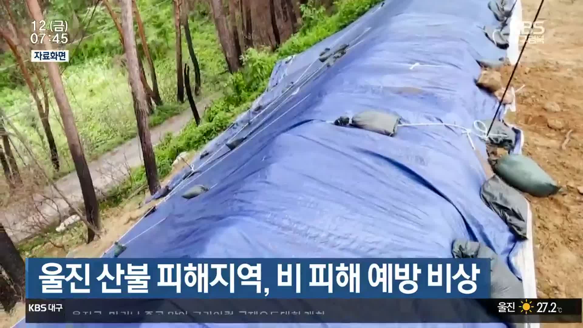 울진 산불 피해지역, 비 피해 예방 비상