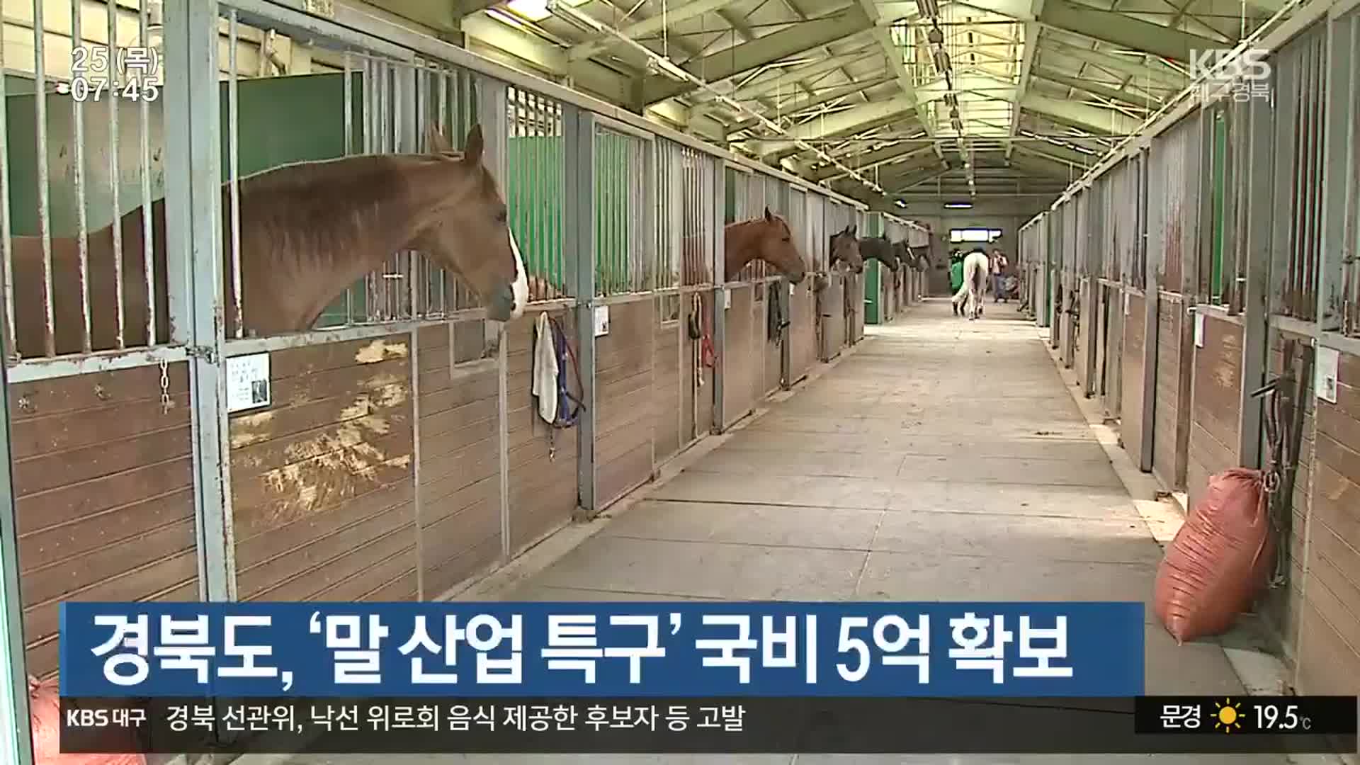 경북도, ‘말 산업 특구’ 국비 5억 확보