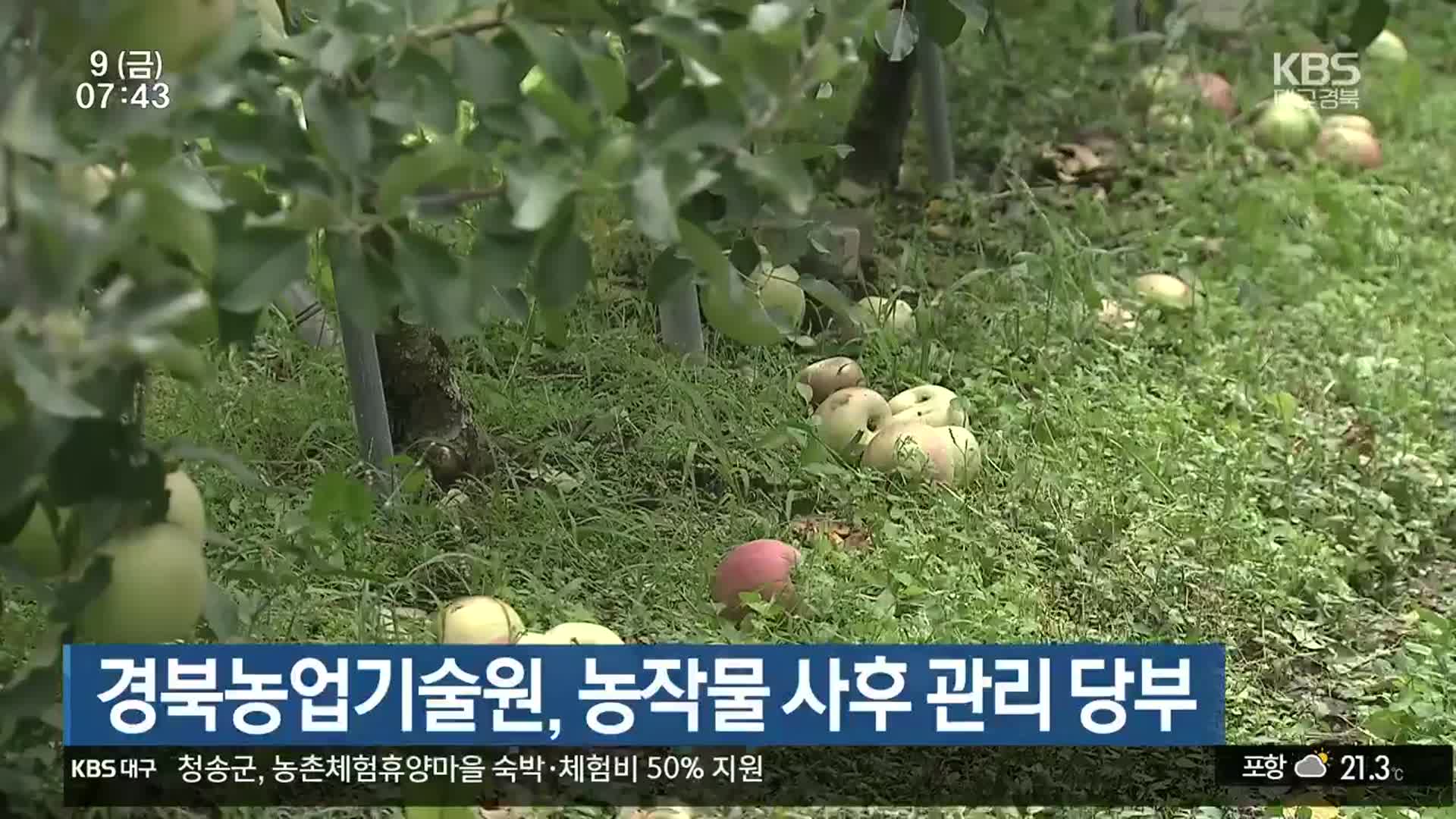 경북농업기술원, 농작물 사후 관리 당부