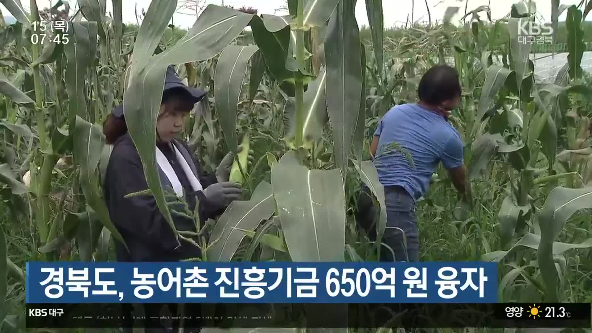 경북도, 농어촌 진흥기금 650억 원 융자