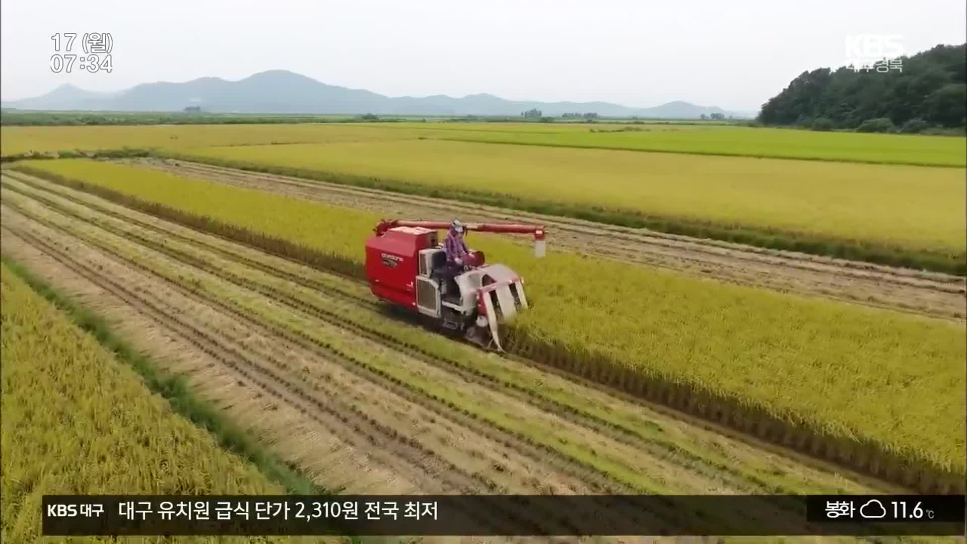 ‘타작물 재배’ 한시적 지원…“쌀 생산 조절, 예견된 실패”