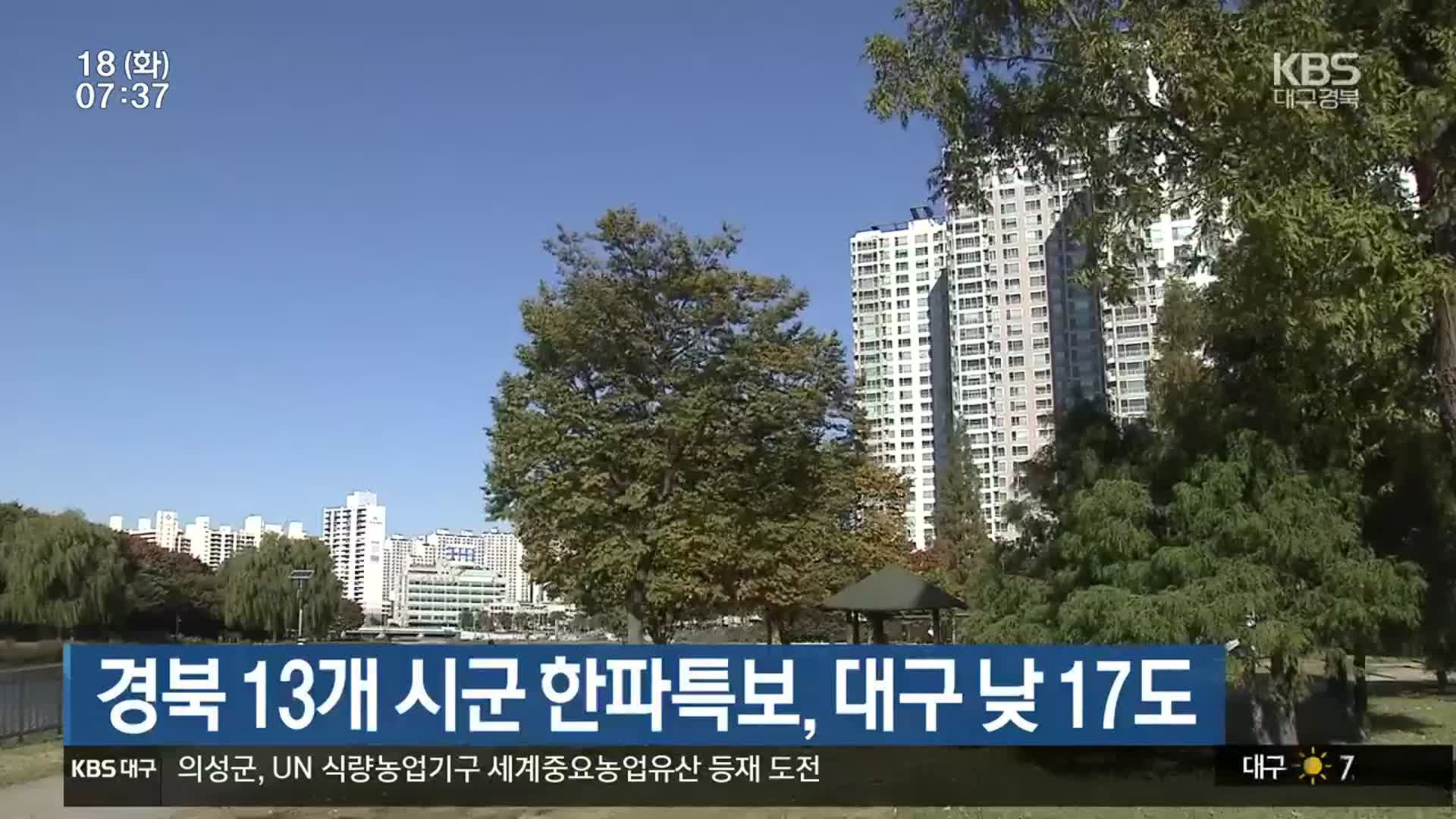 경북 13개 시군 한파특보, 대구 낮 17도