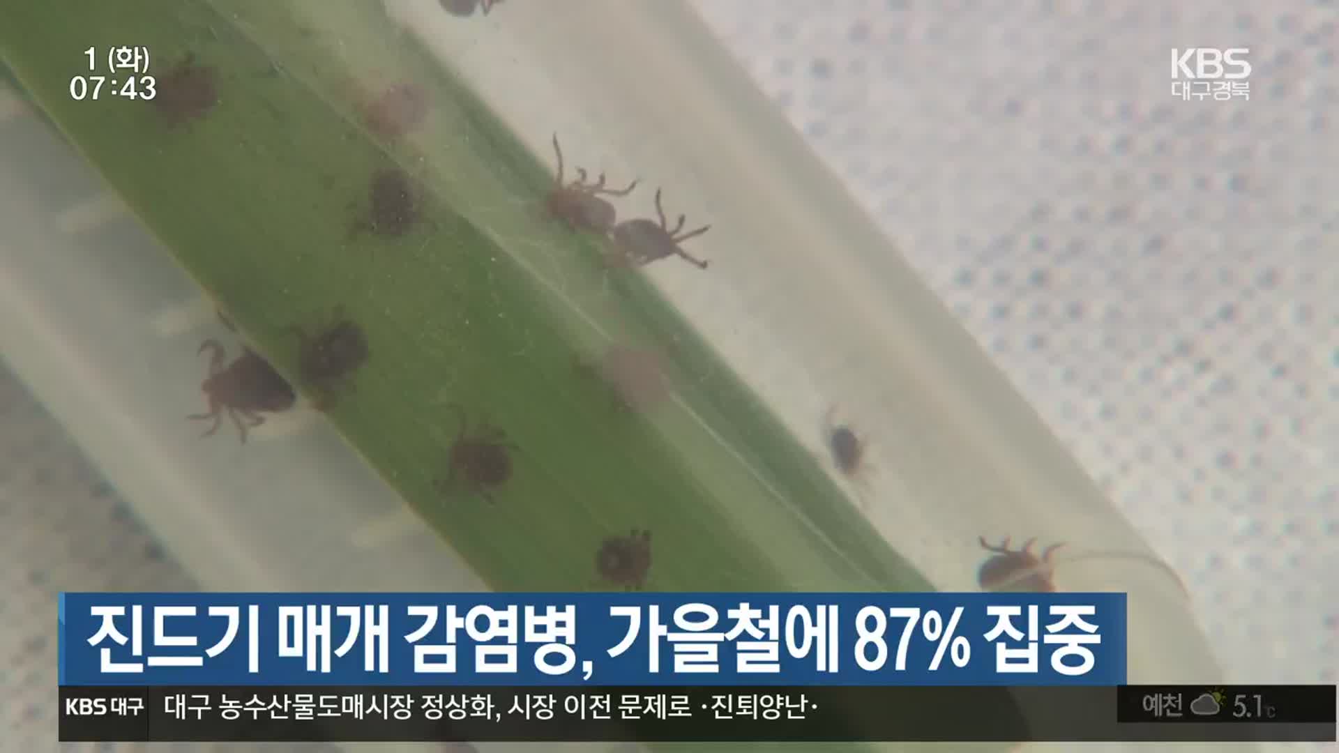 진드기 매개 감염병, 가을철에 87% 집중