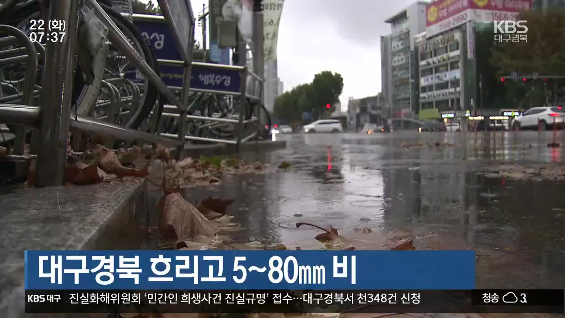 대구·경북 흐리고 5~80mm 비