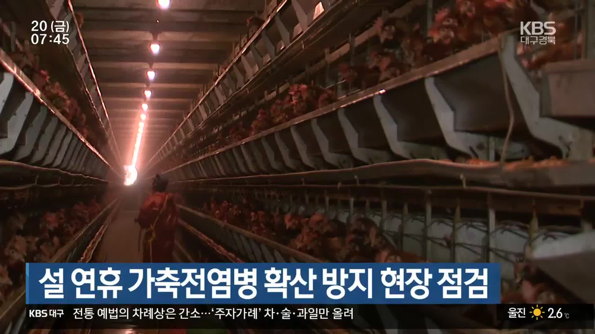 경북 설 연휴 가축전염병 확산 방지 현장 점검
