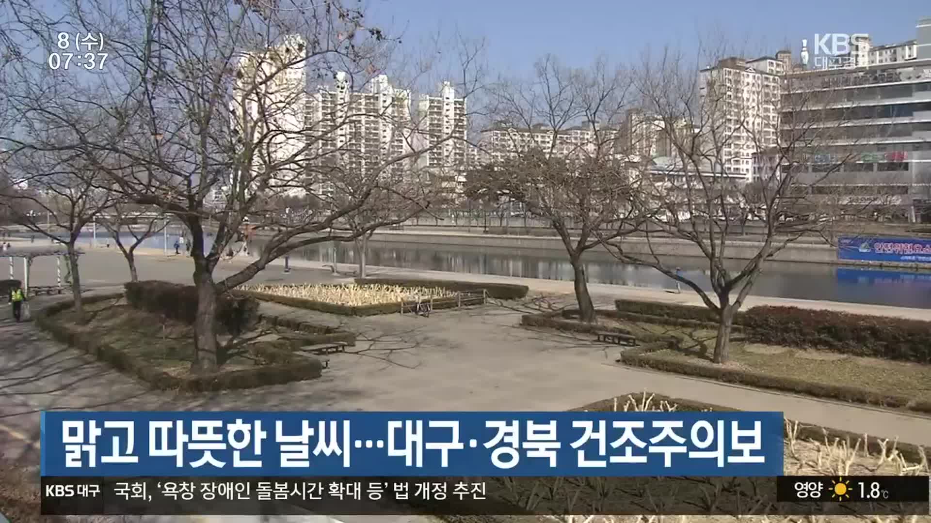 맑고 따뜻한 날씨…대구·경북 건조주의보