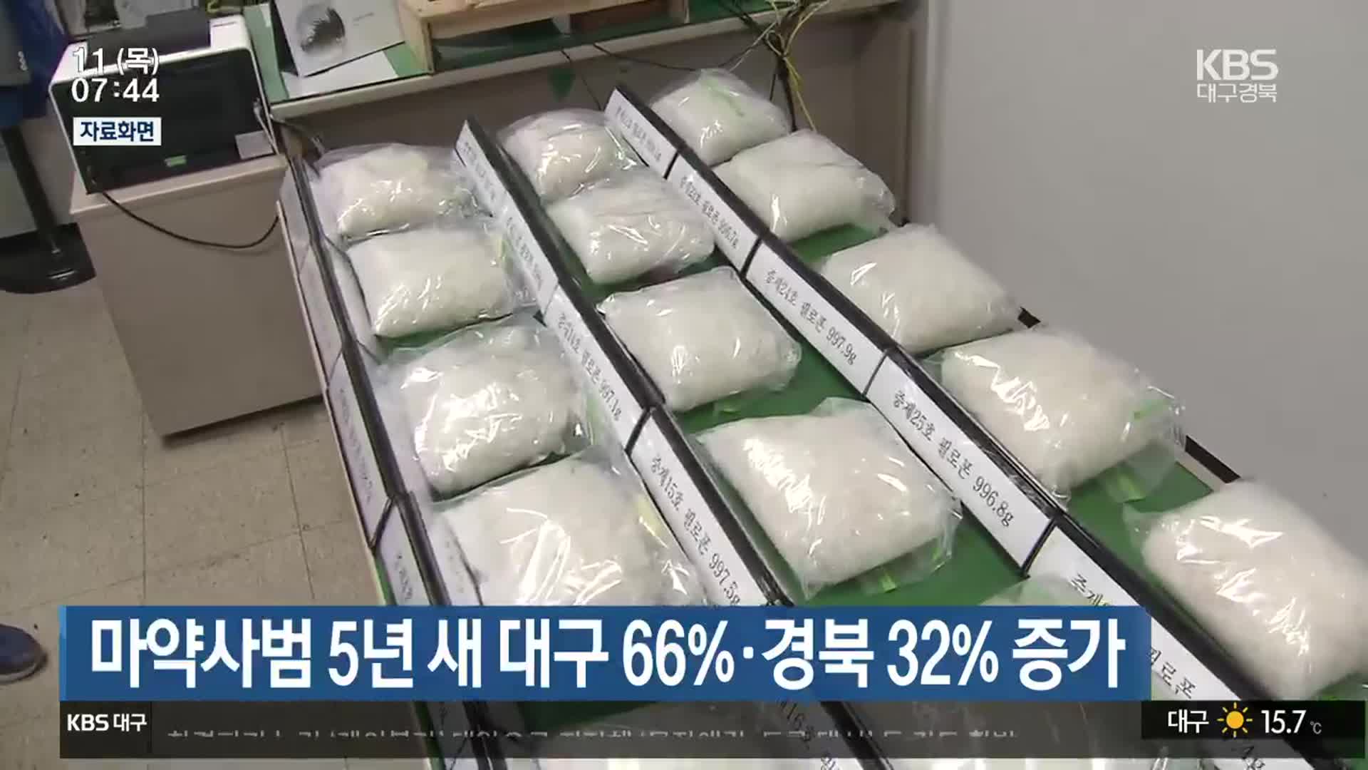 마약사범 5년 새 대구 66%·경북 32% 증가