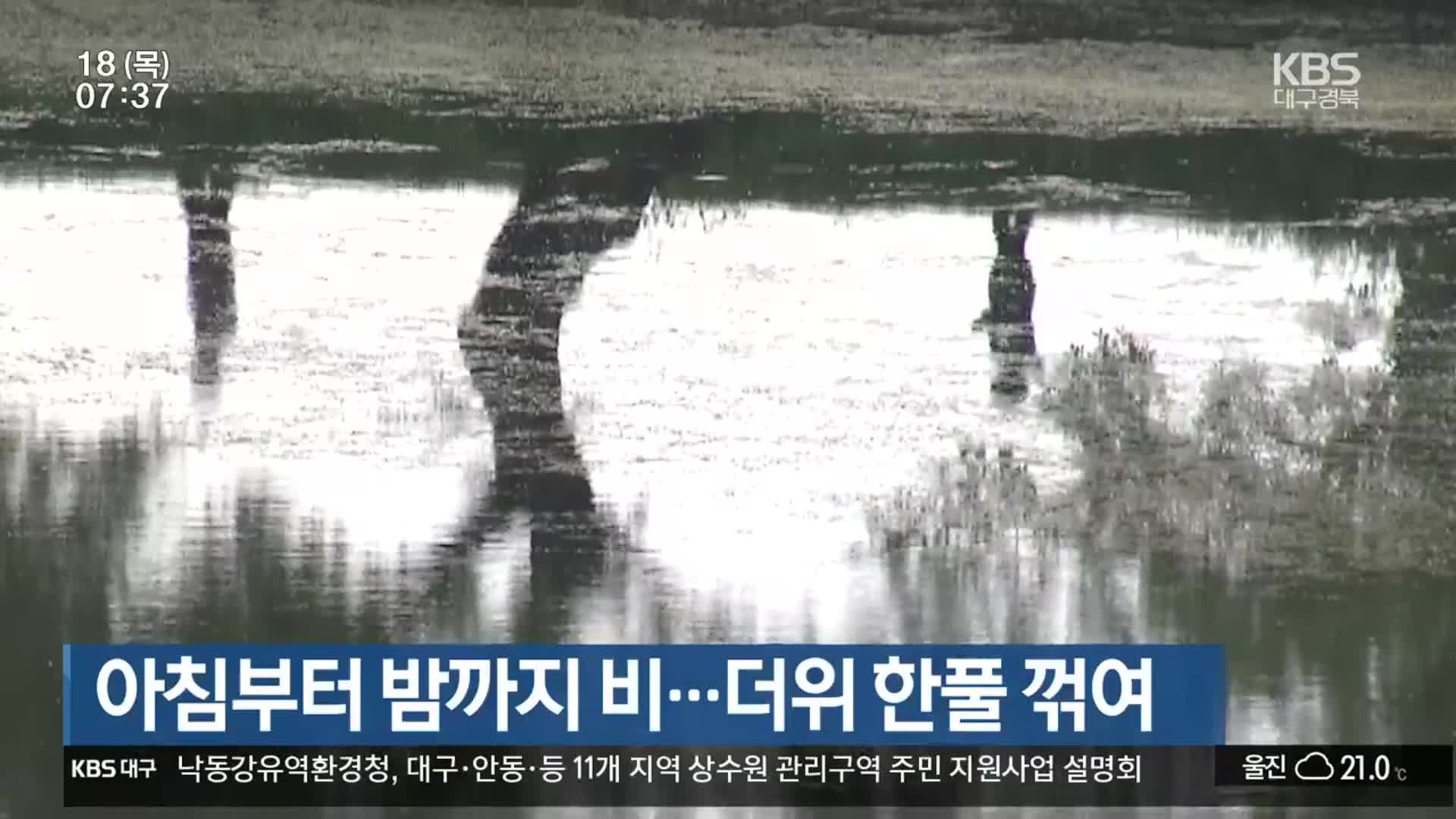 대구·경북 아침부터 밤까지 비…더위 한풀 꺾여
