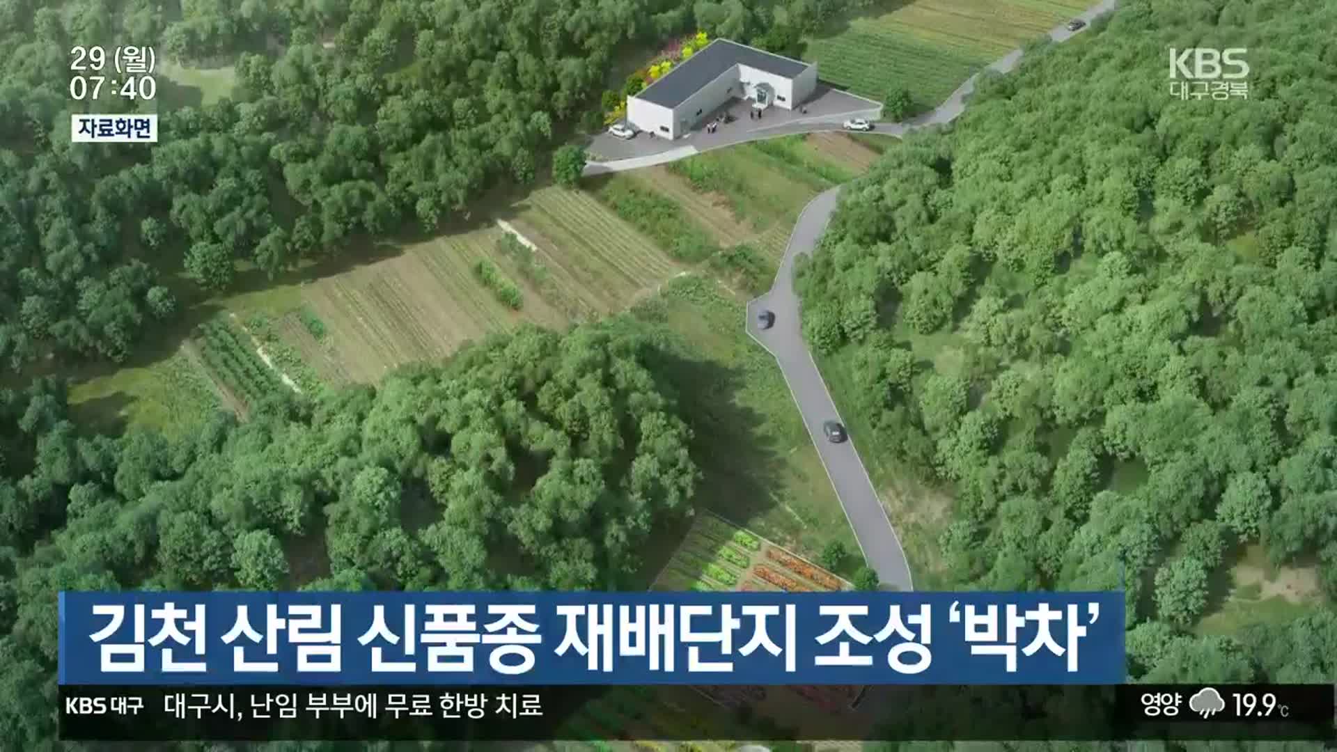 김천 산림 신품종 재배단지 조성 ‘박차’