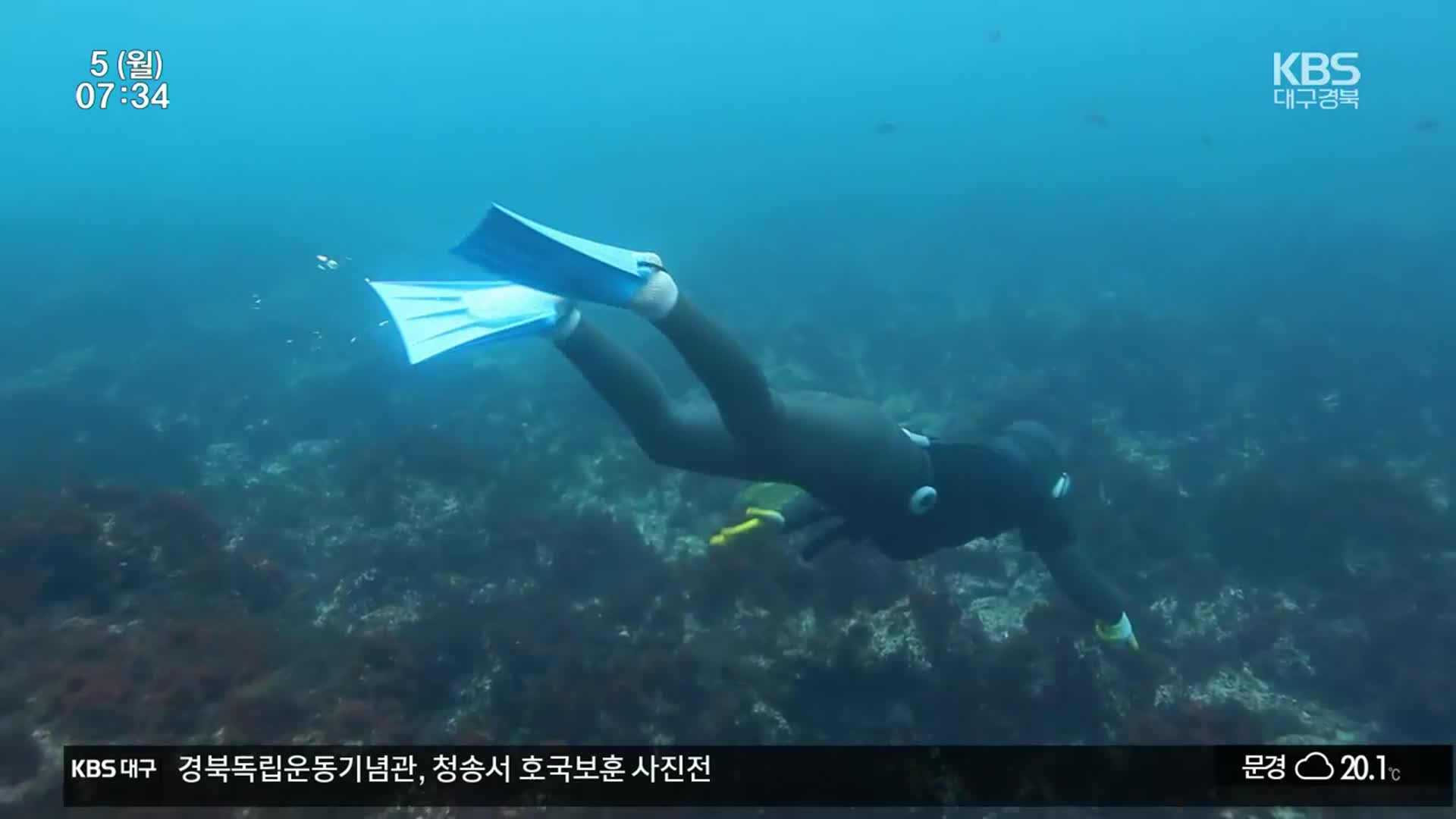 해산물 ‘불법’ 잠수사에 의존…해녀 부족에 “불가피”