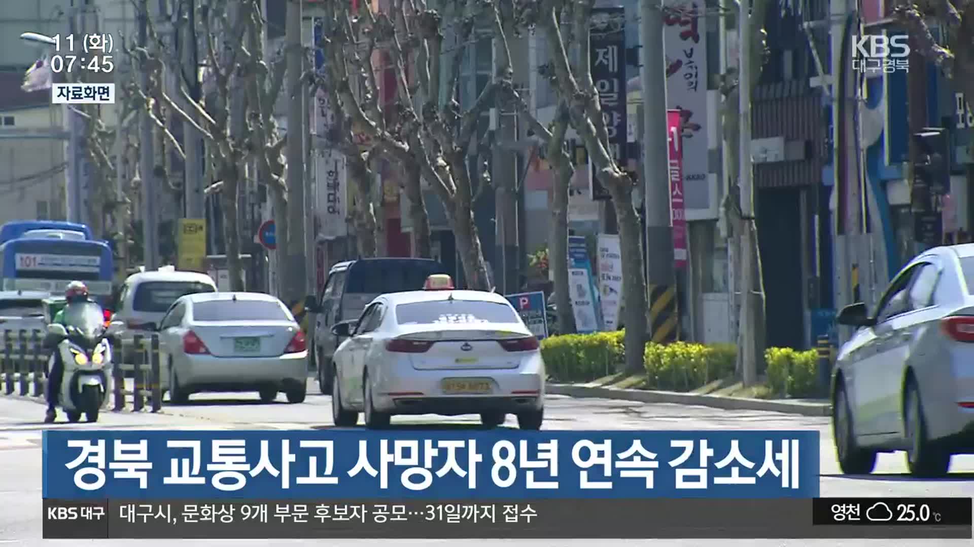 경북 교통사고 사망자 8년 연속 감소세