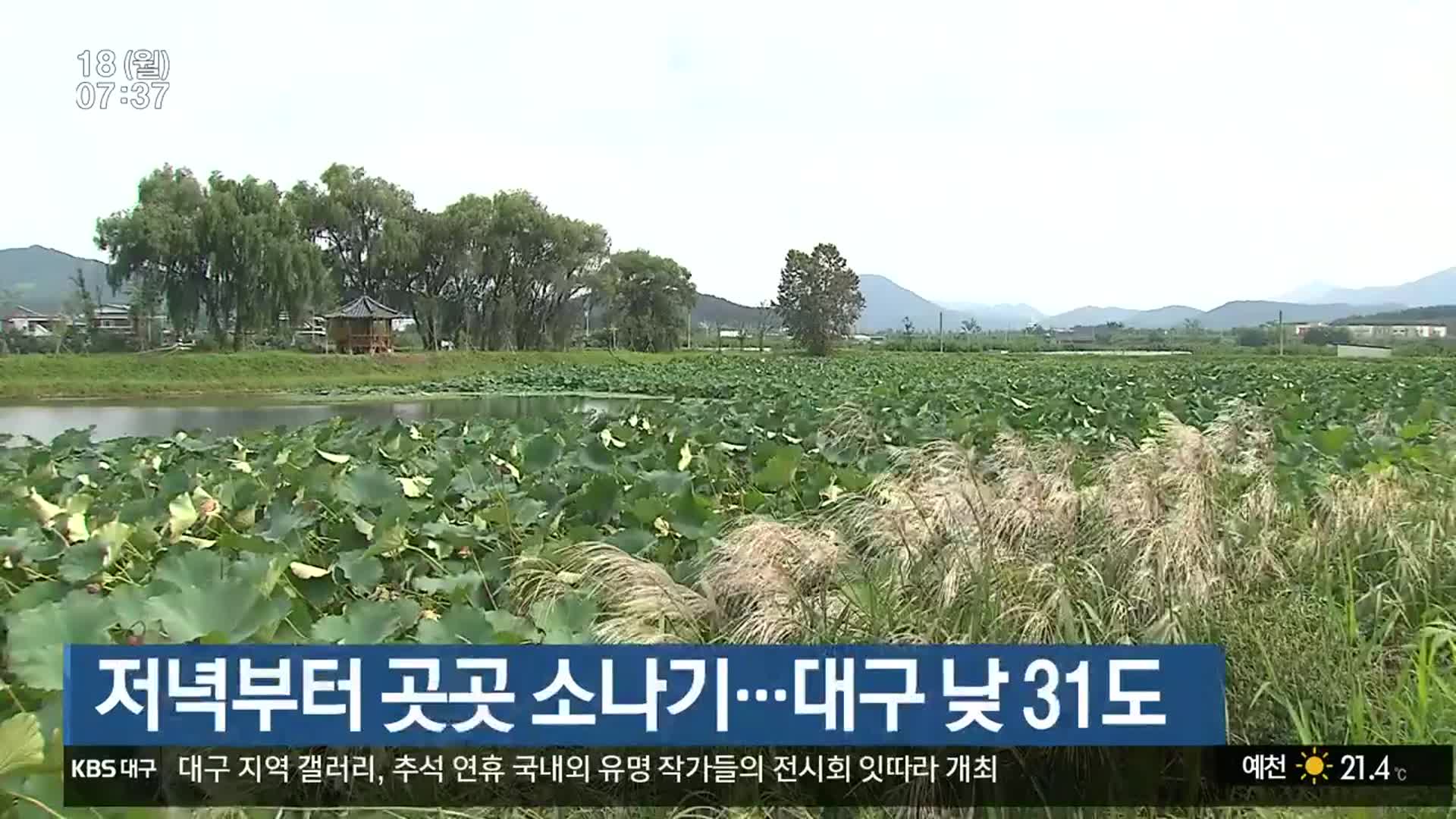 대구·경북 저녁부터 곳곳 소나기…대구 낮 31도