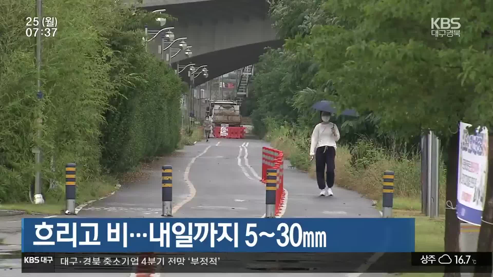 대구·경북 흐리고 비…내일까지 5~30mm