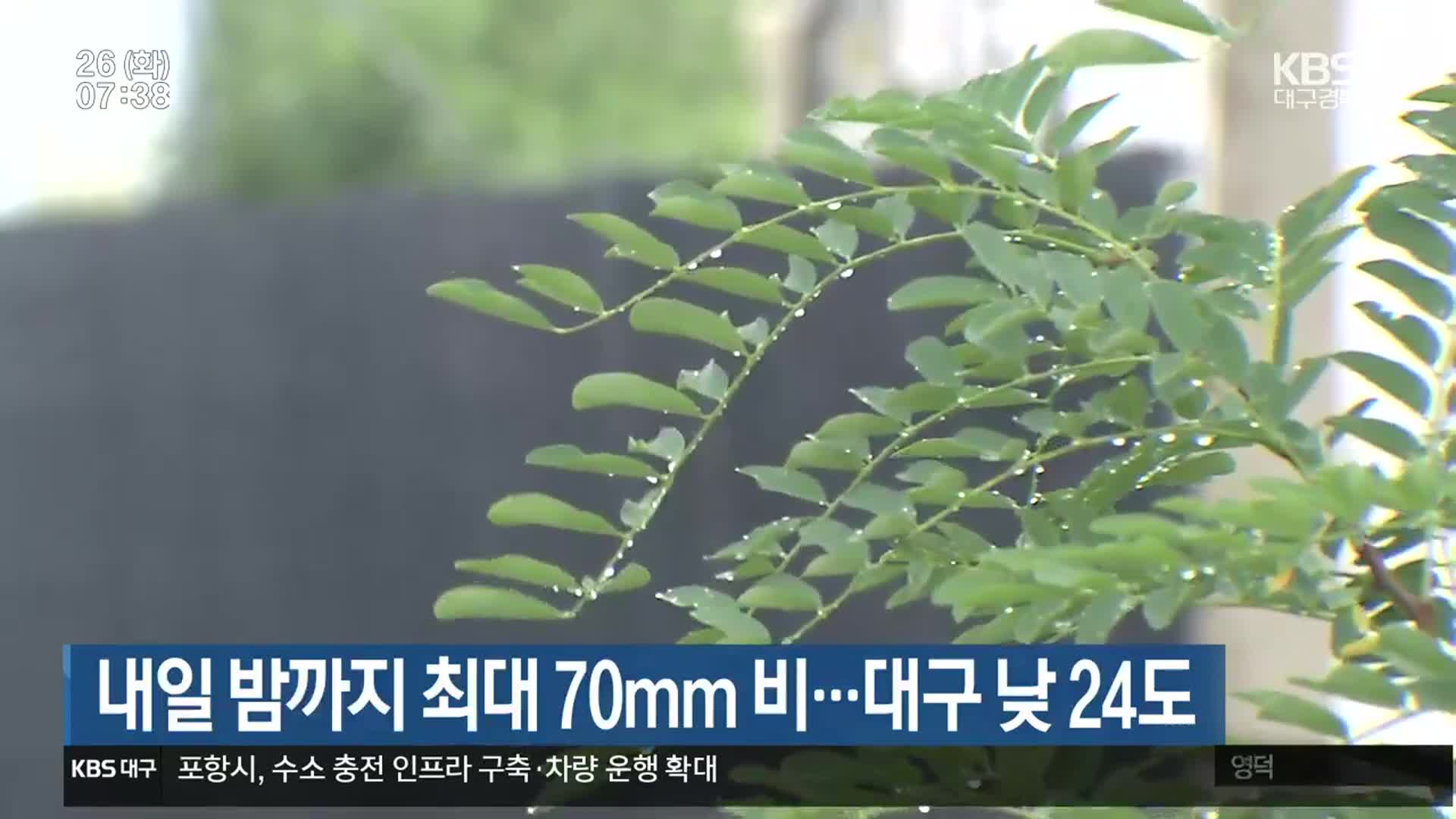 대구·경북 내일 밤까지 최대 70mm 비…대구 낮 24도