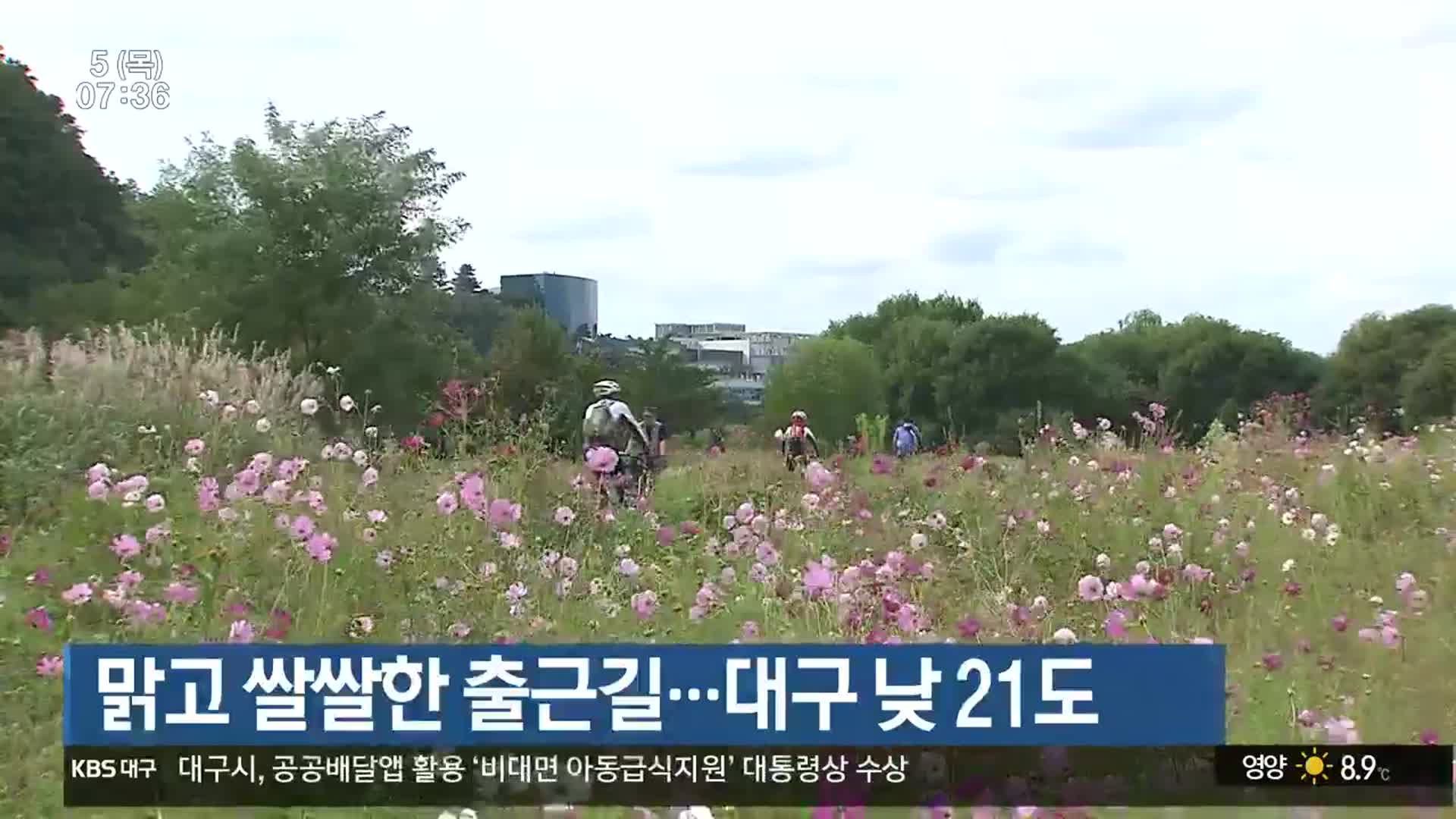 대구·경북 맑고 쌀쌀한 출근길…대구 낮 21도