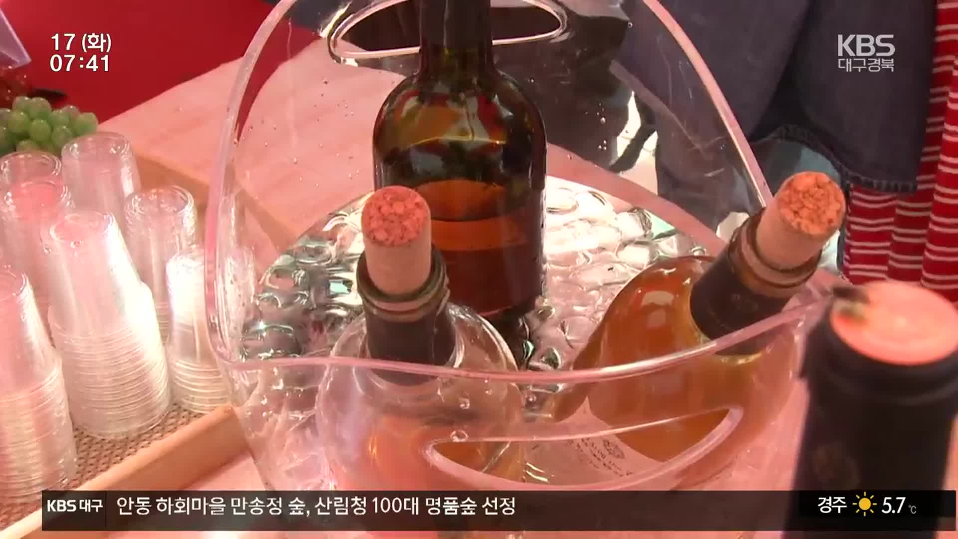 [현안 돋보기] 포도에서 과일로…영천 와인 활로 모색