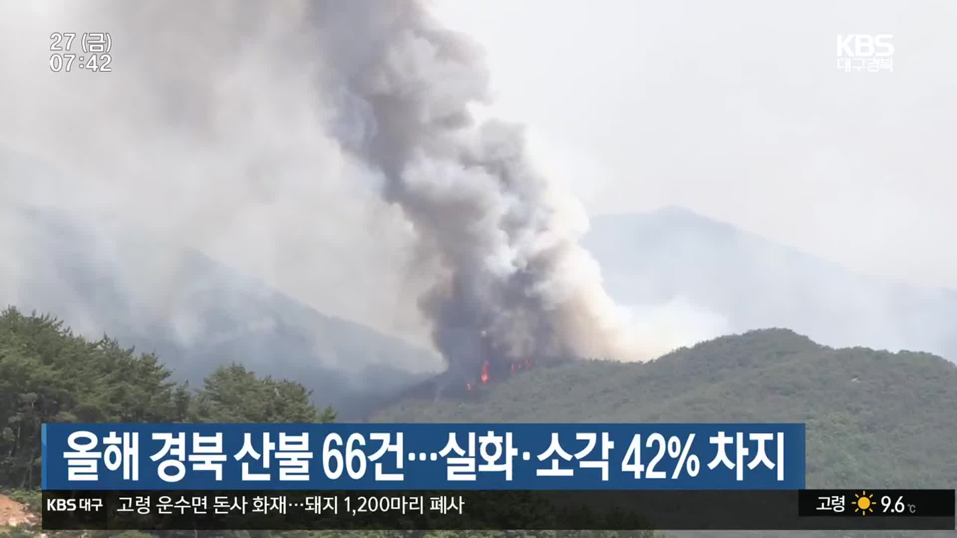 올해 경북 산불 66건…실화·소각 42% 차지