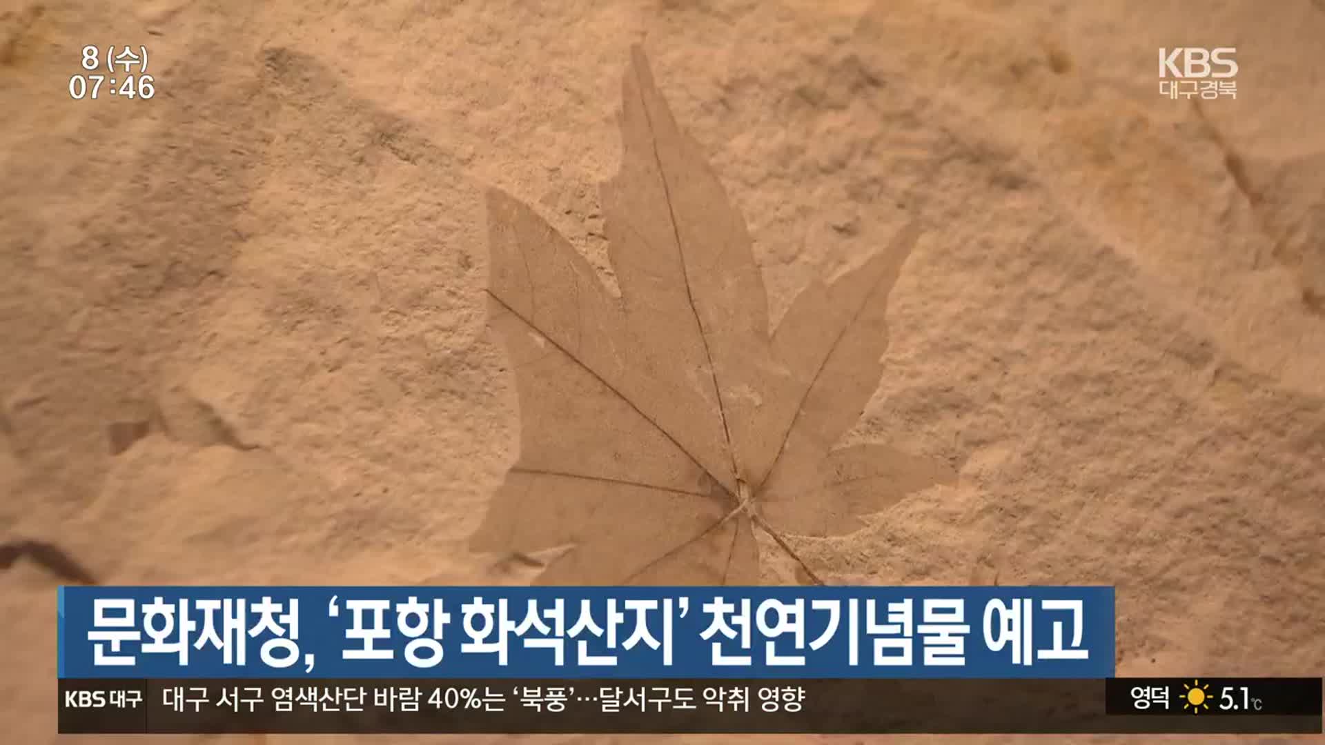 문화재청, ‘포항 화석산지’ 천연기념물 예고