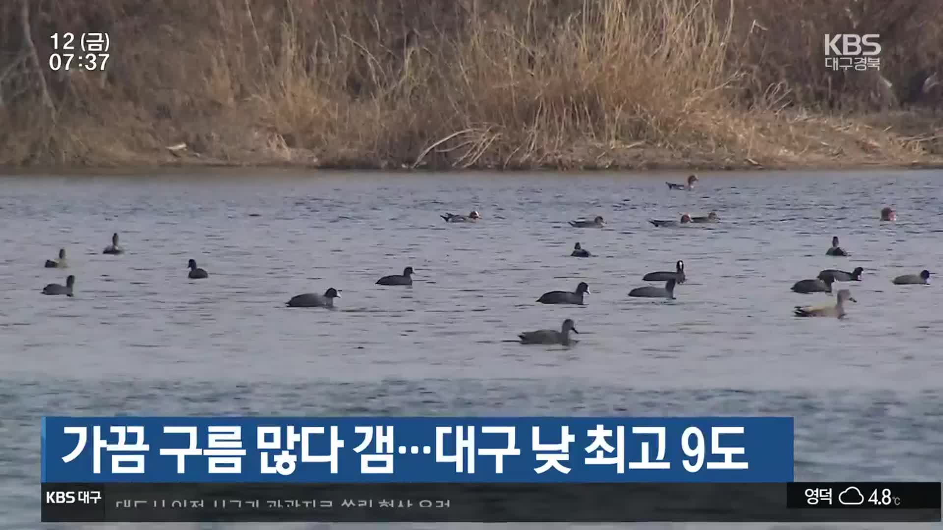 대구·경북 가끔 구름 많다 갬…대구 낮 최고 9도