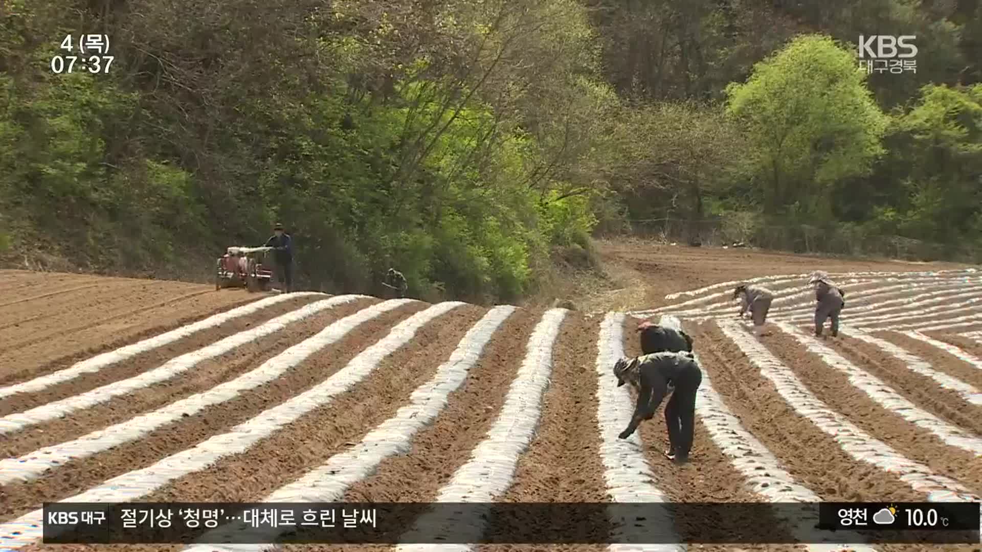 ‘이민 확대로 지방소멸 극복’…“2030년까지 10만 명 추가 유입”