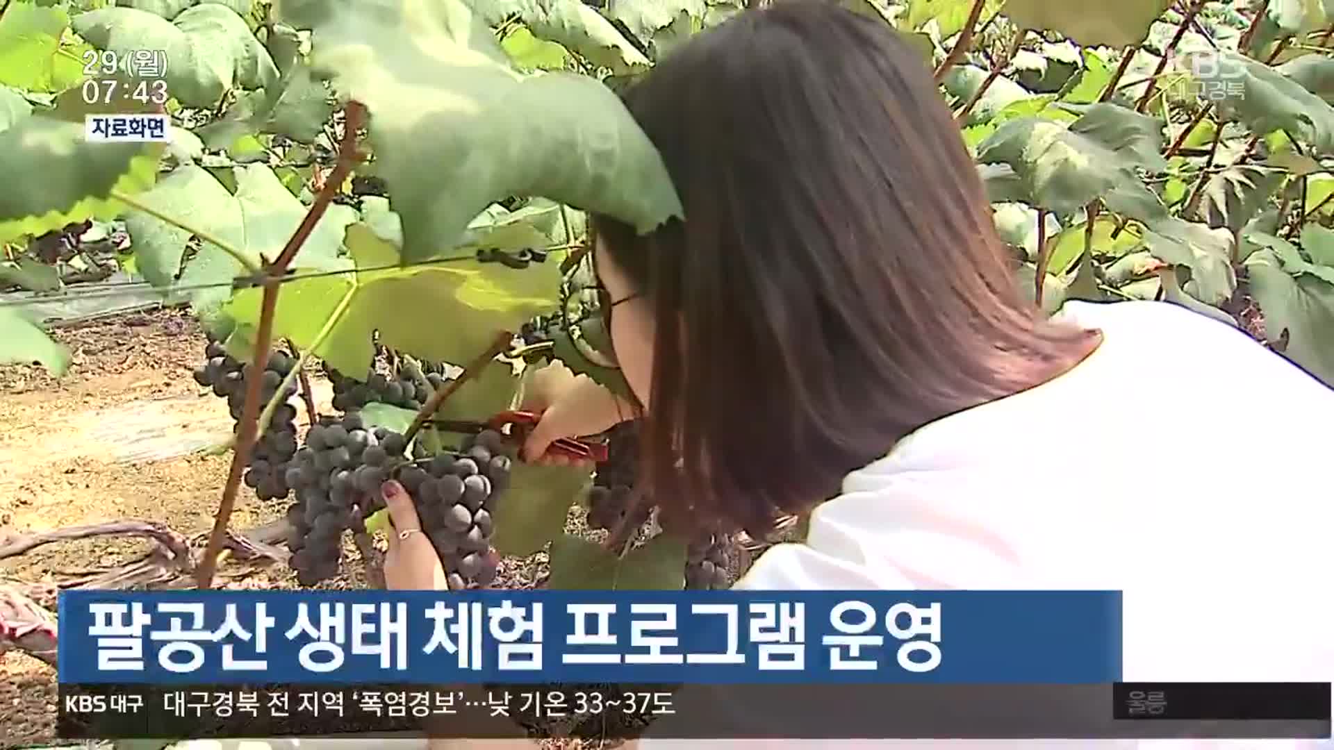 팔공산 생태 체험 프로그램 운영