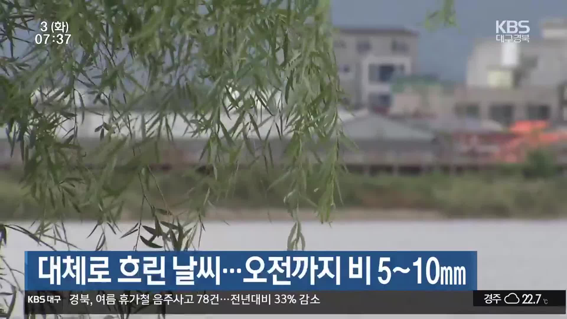 대구·경북 대체로 흐린 날씨…오전까지 비 5~10mm