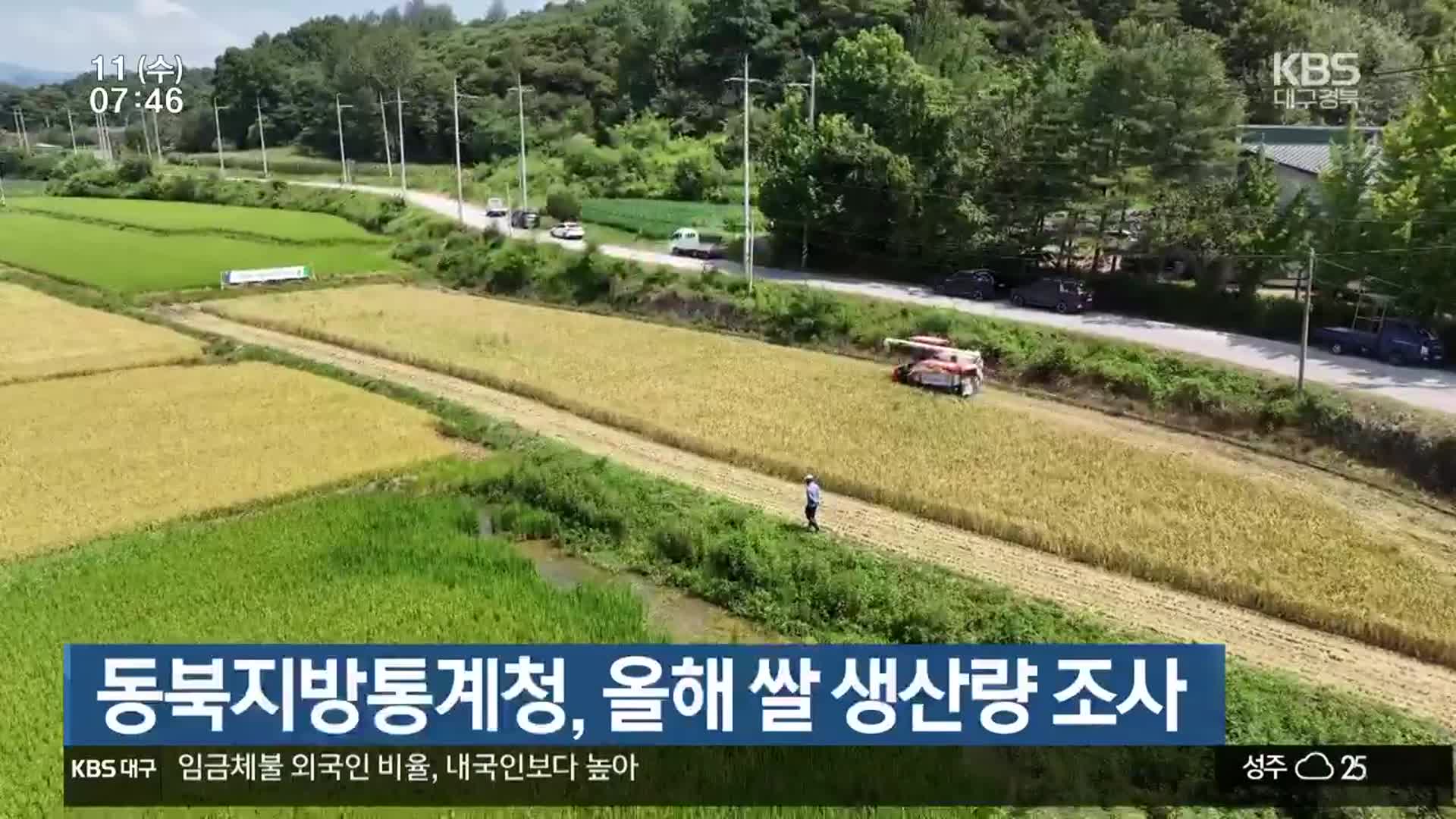 동북지방통계청, 올해 쌀 생산량 조사