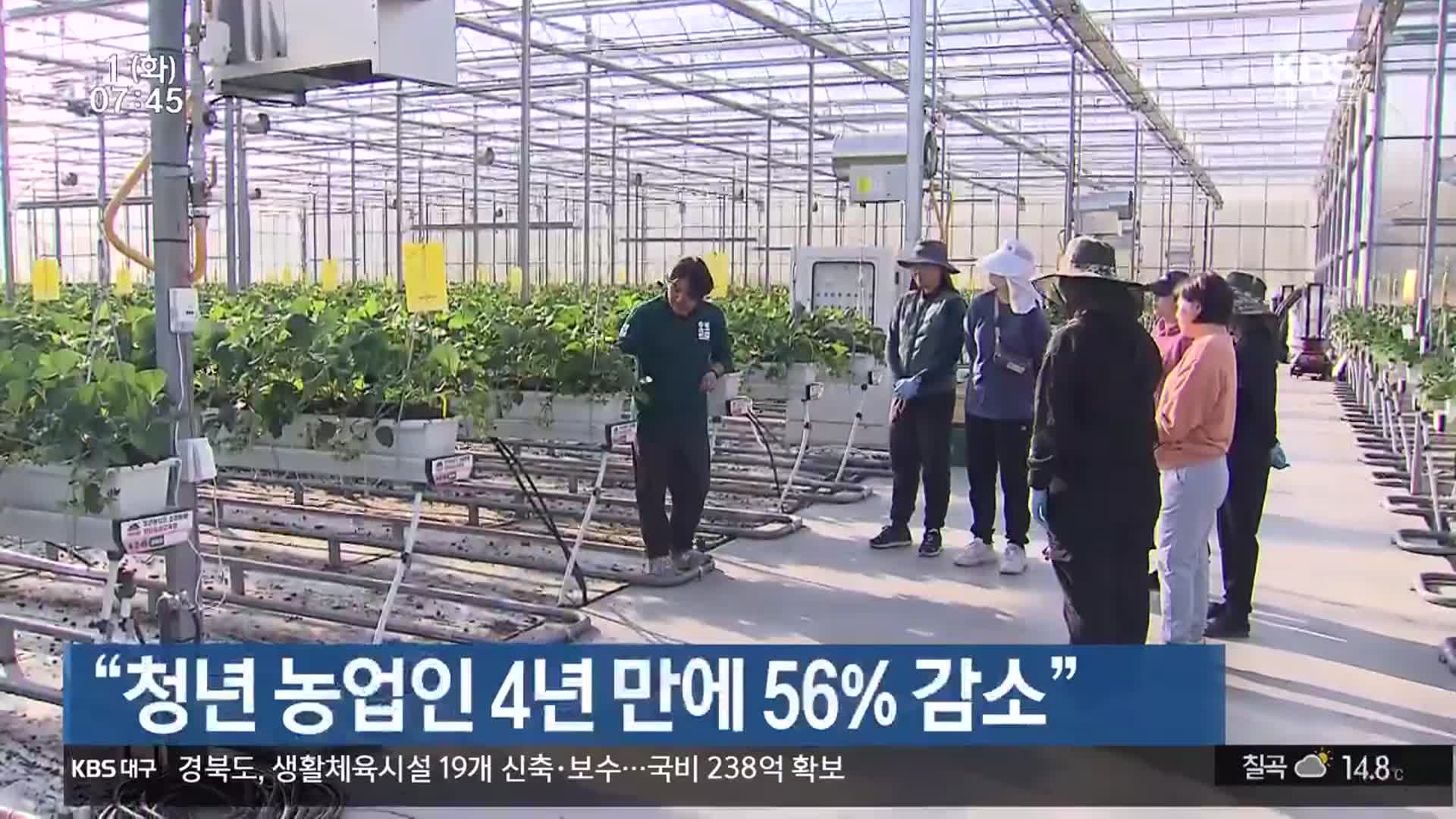 “청년 농업인 4년 만에 56% 감소”