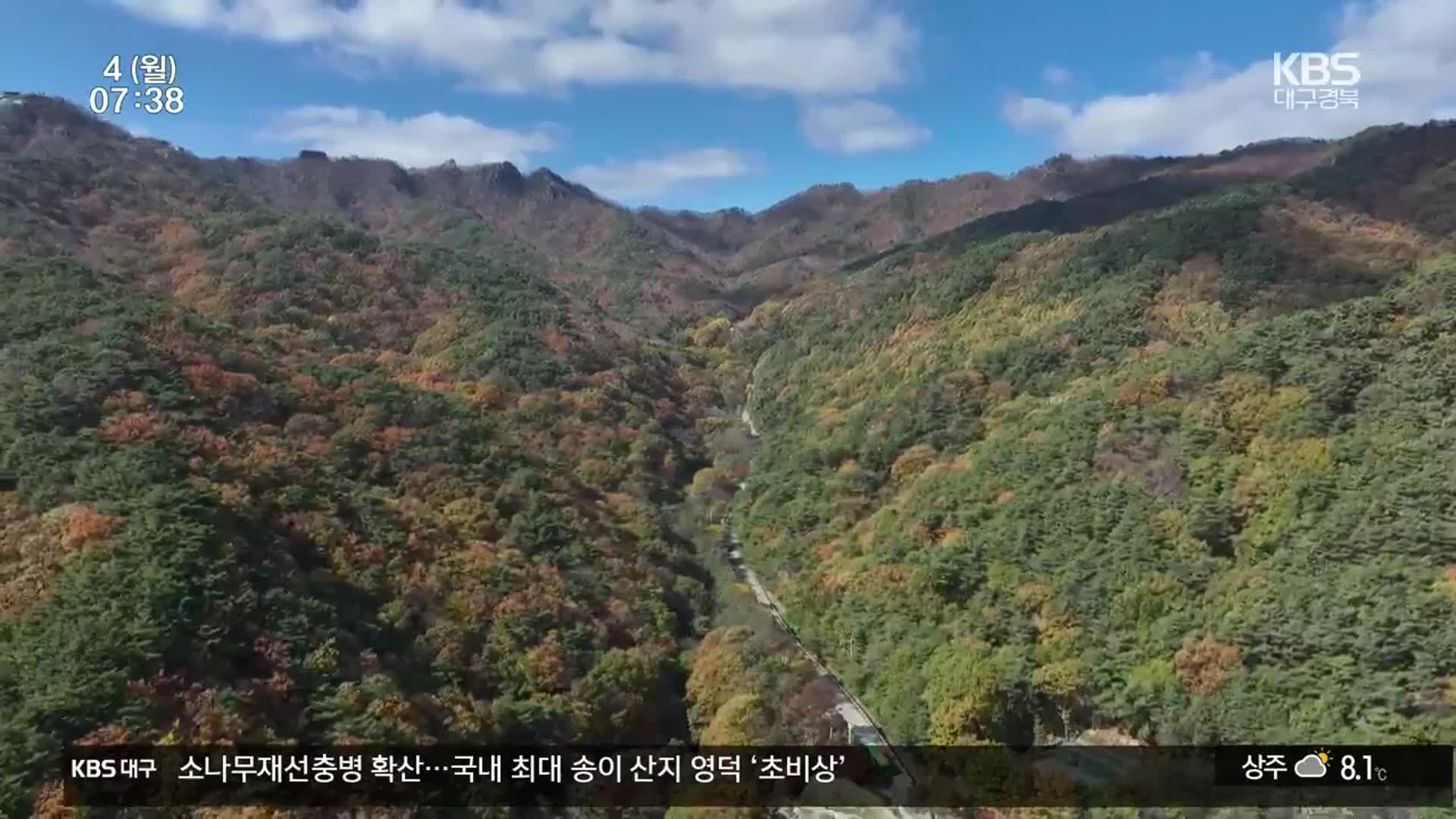 아직도 푸릇푸릇…‘늑장 단풍’ 이번 주 절정 예상