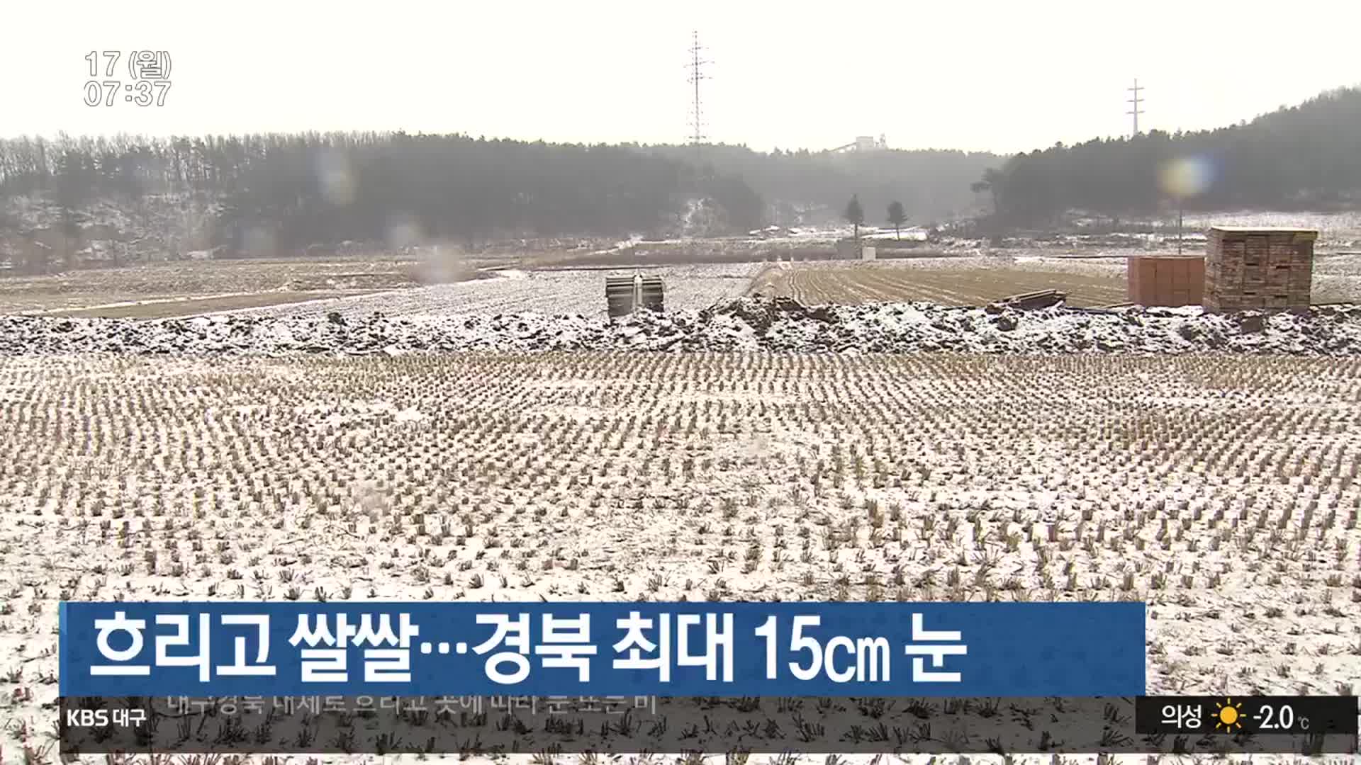 대구·경북 흐리고 쌀쌀…경북 최대 15cm 눈