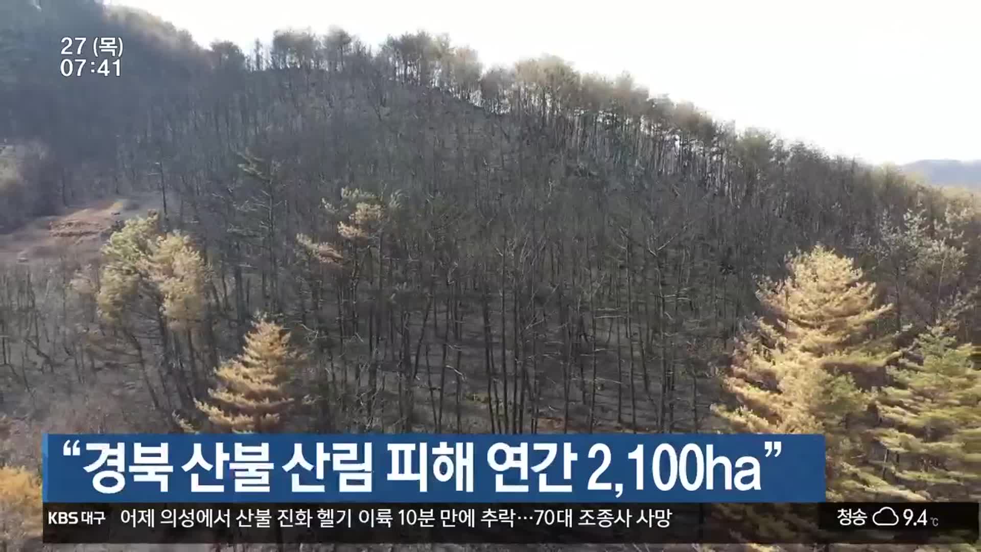 “경북 산불 산림 피해 연간 2,100ha”