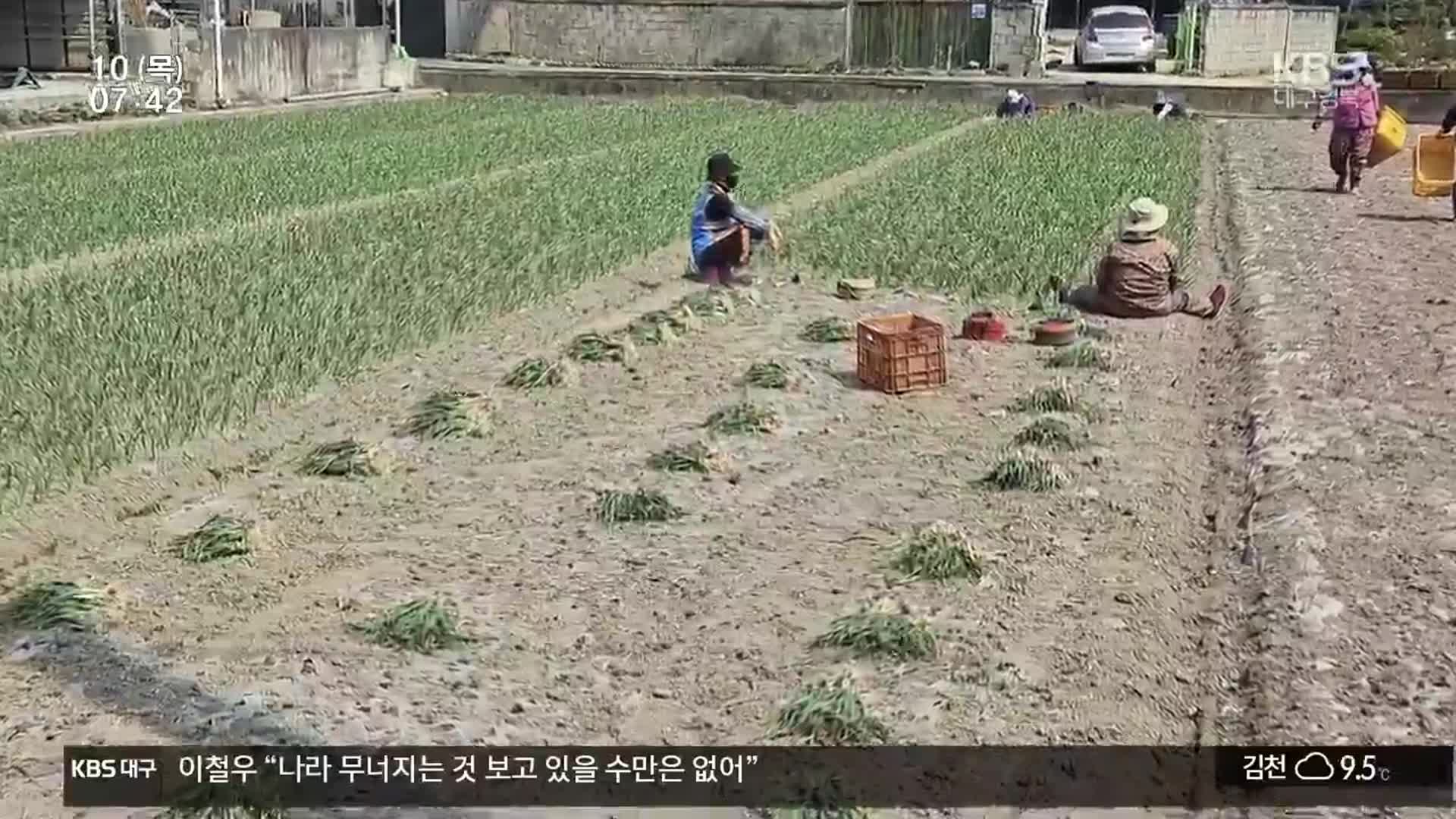 “우리 밭에 집 만드세요”…마늘밭 내어준 ‘통 큰 선심’