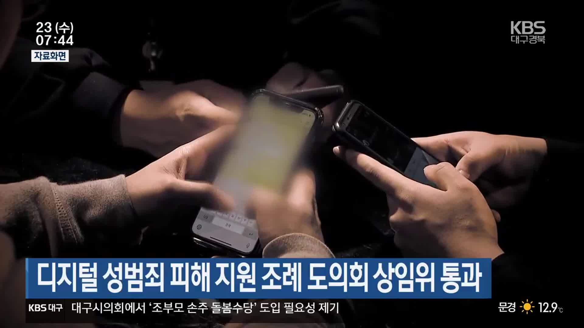 디지털 성범죄 피해 지원 조례 도의회 상임위 통과