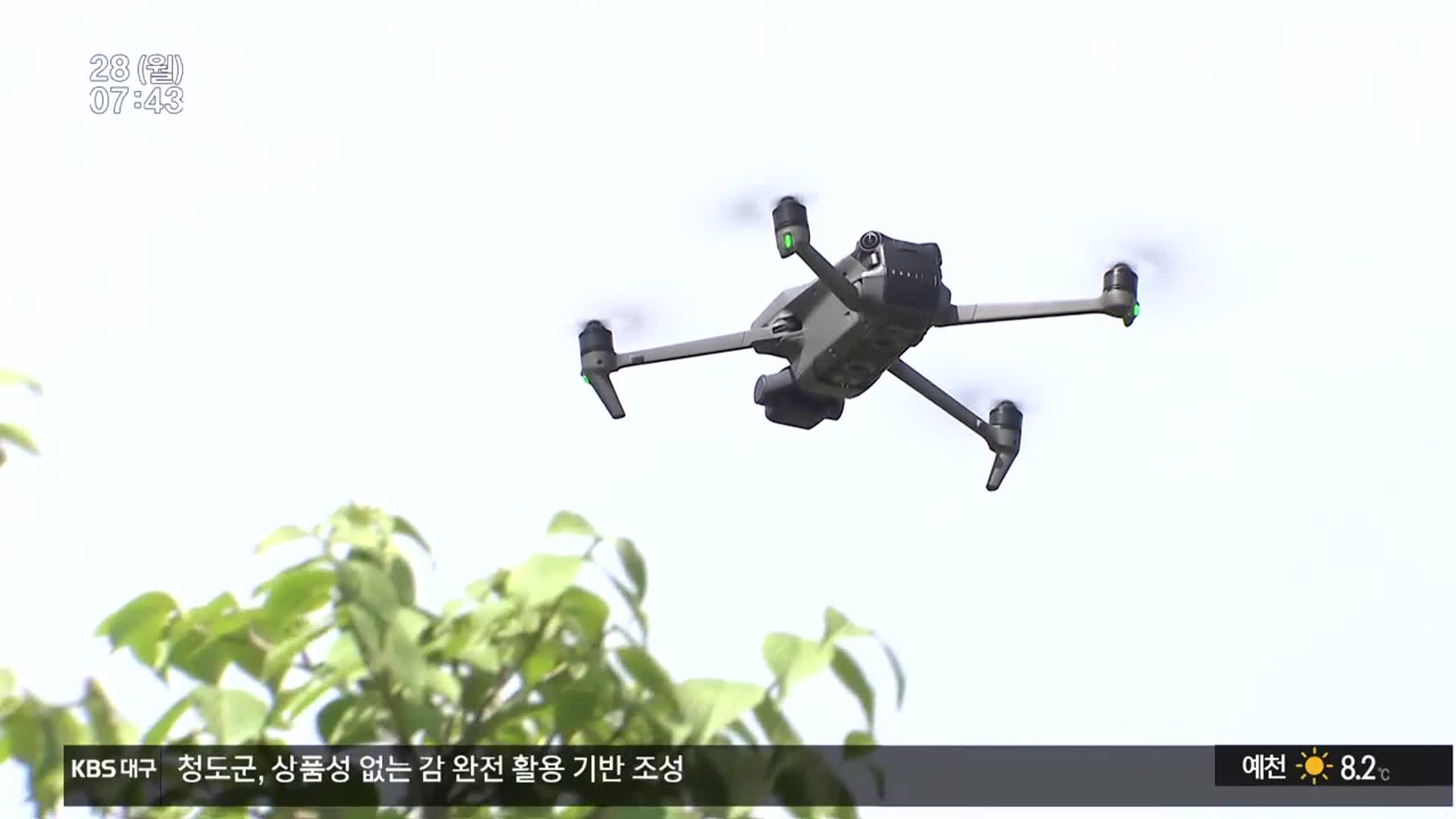 “고사리가 뭐길래”…제주 하늘에 뜬 ‘시니어 드론순찰대’