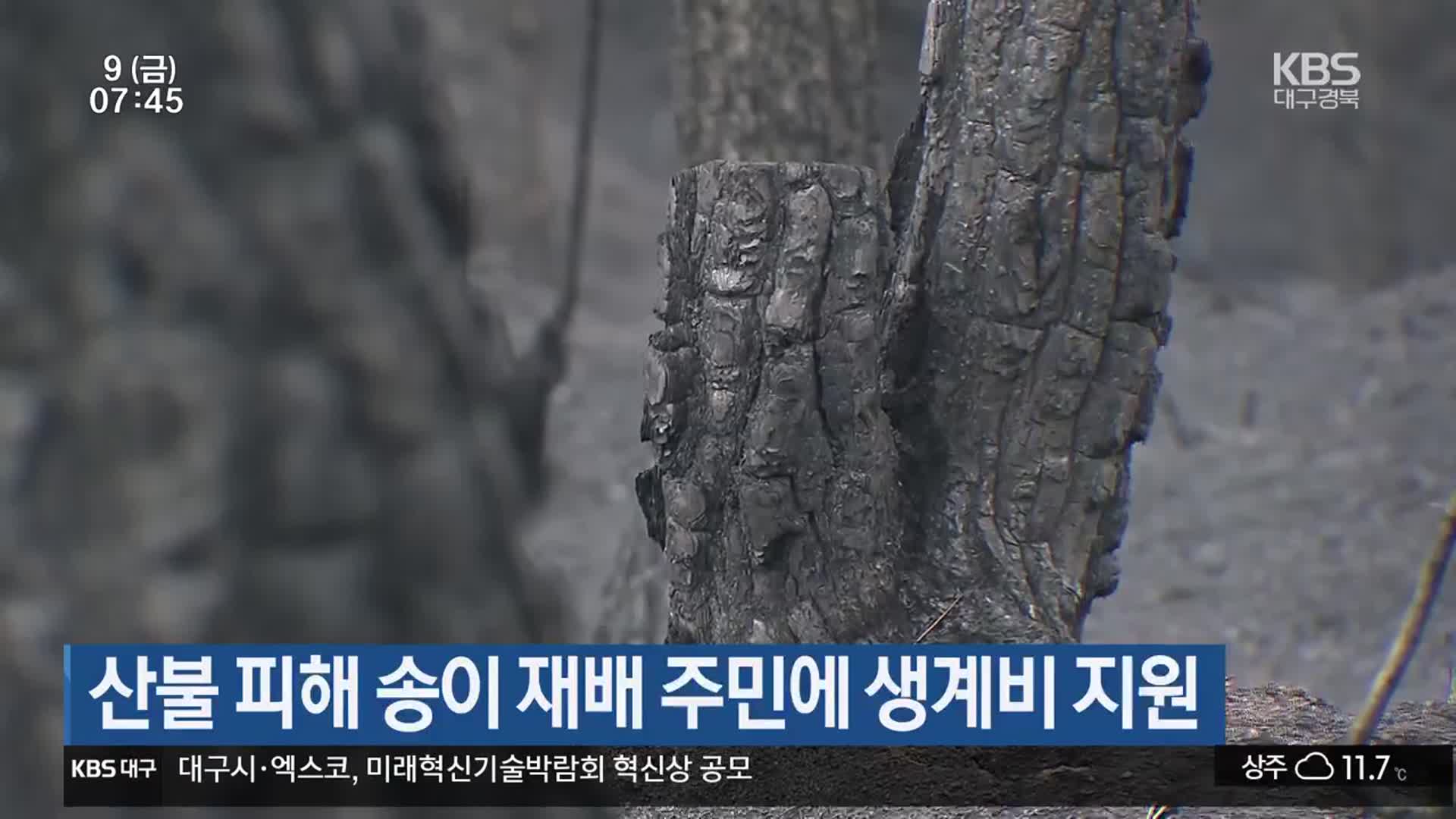 산불 피해 송이 재배 주민에 생계비 지원