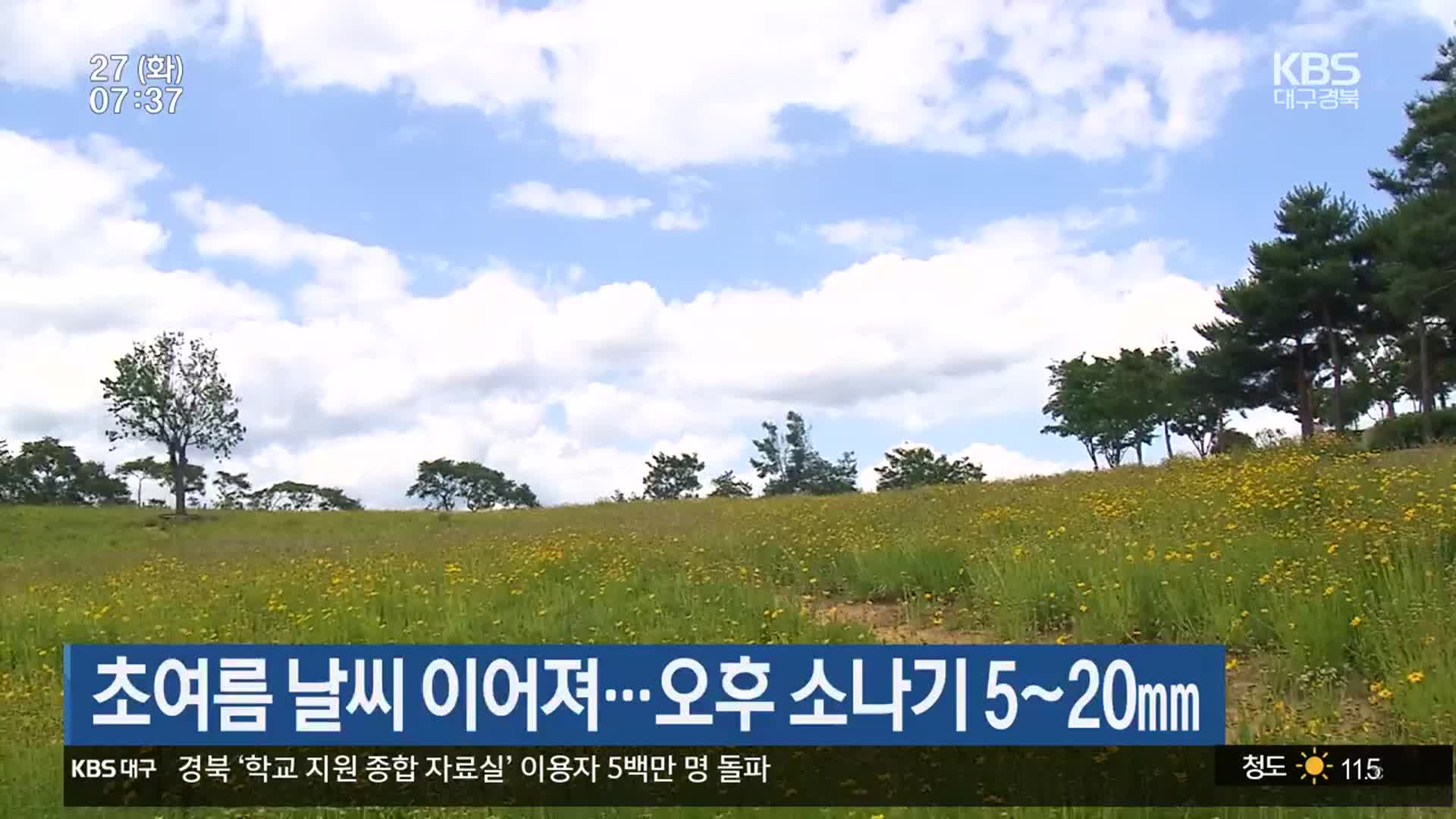 대구·경북 초여름 날씨 이어져…오후 소나기 5~20mm
