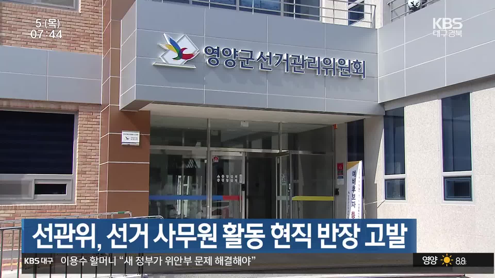 선관위, 선거 사무원 활동 현직 반장 고발