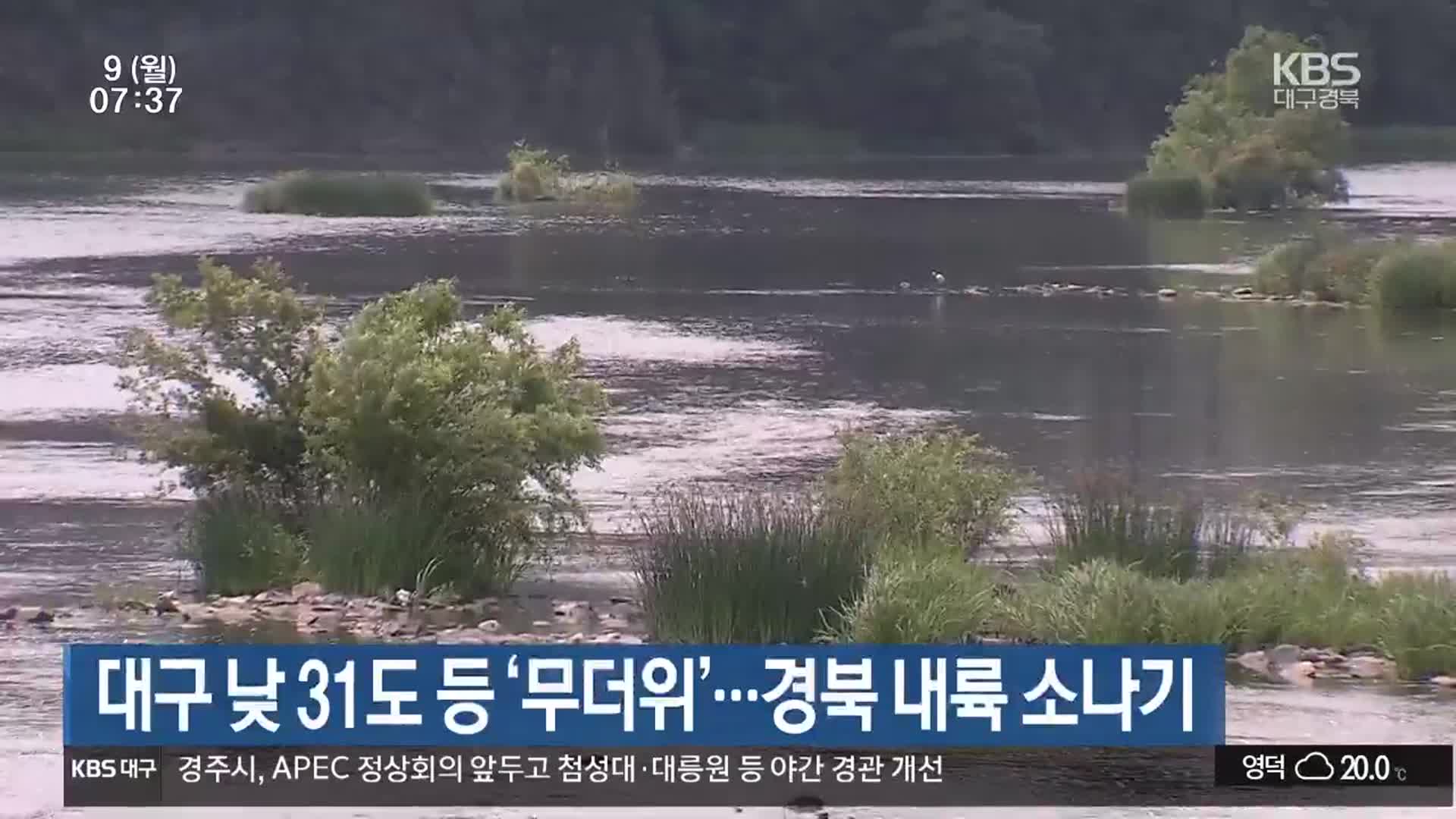 대구 낮 31 등 ‘무더위’…경북 내륙 소나기