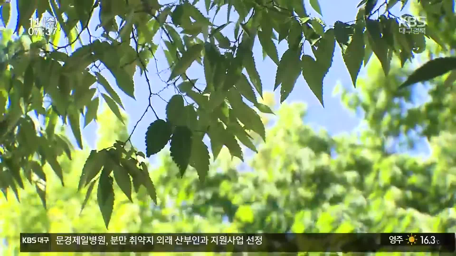 [뉴스광장 대구·경북 풀영상]