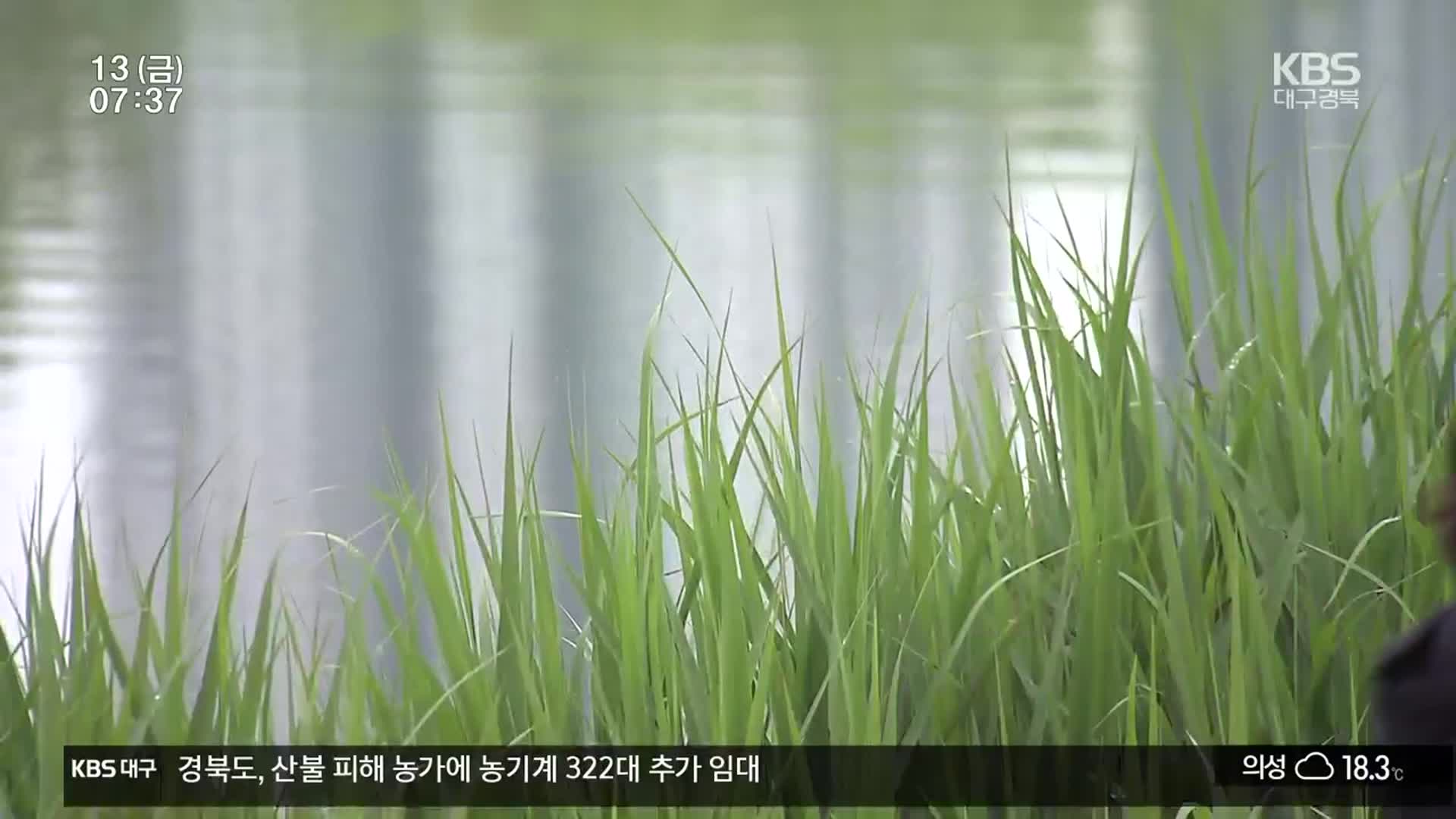[뉴스광장 대구·경북 풀영상]