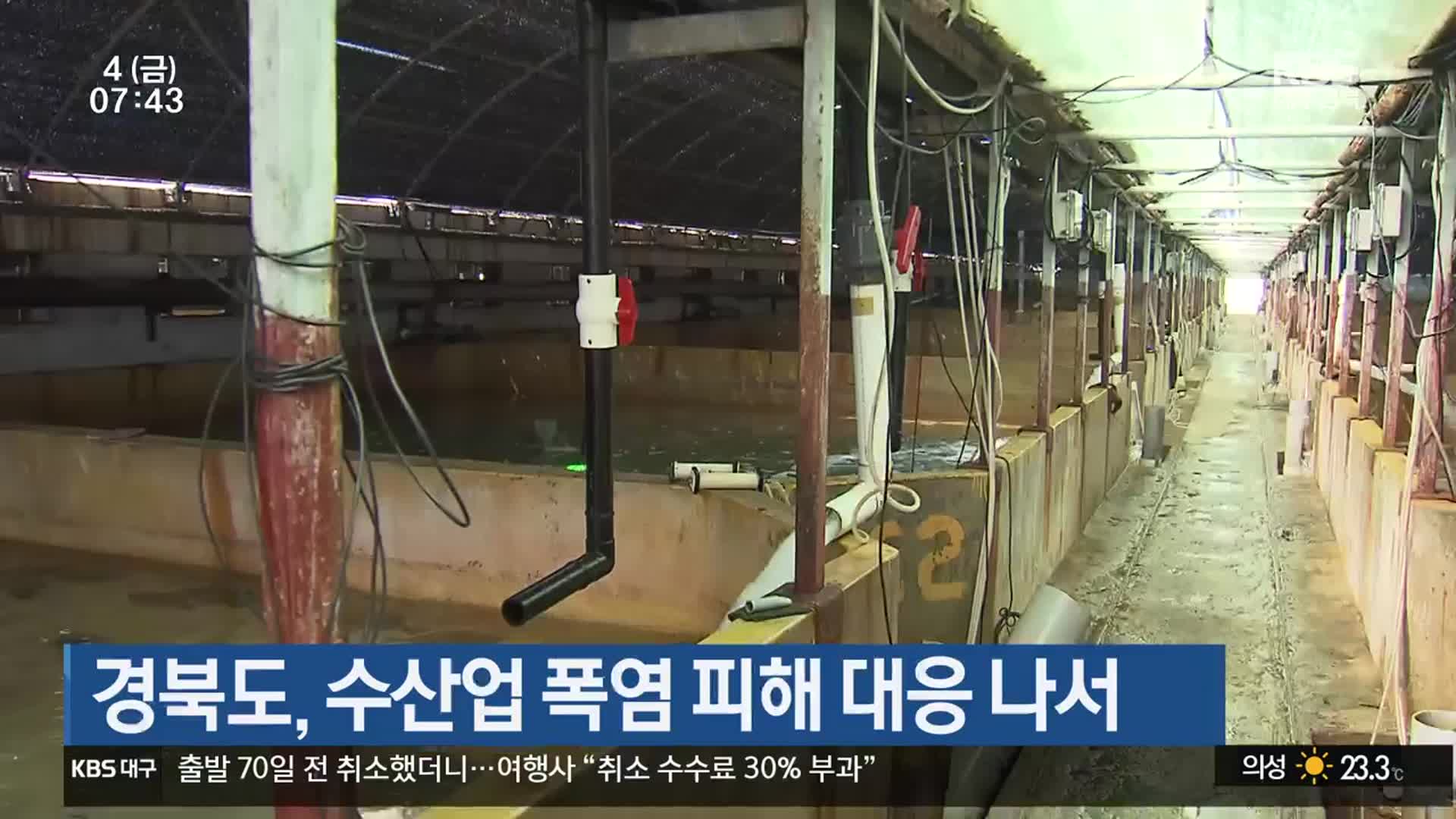 경북도, 수산업 폭염 피해 대응 나서